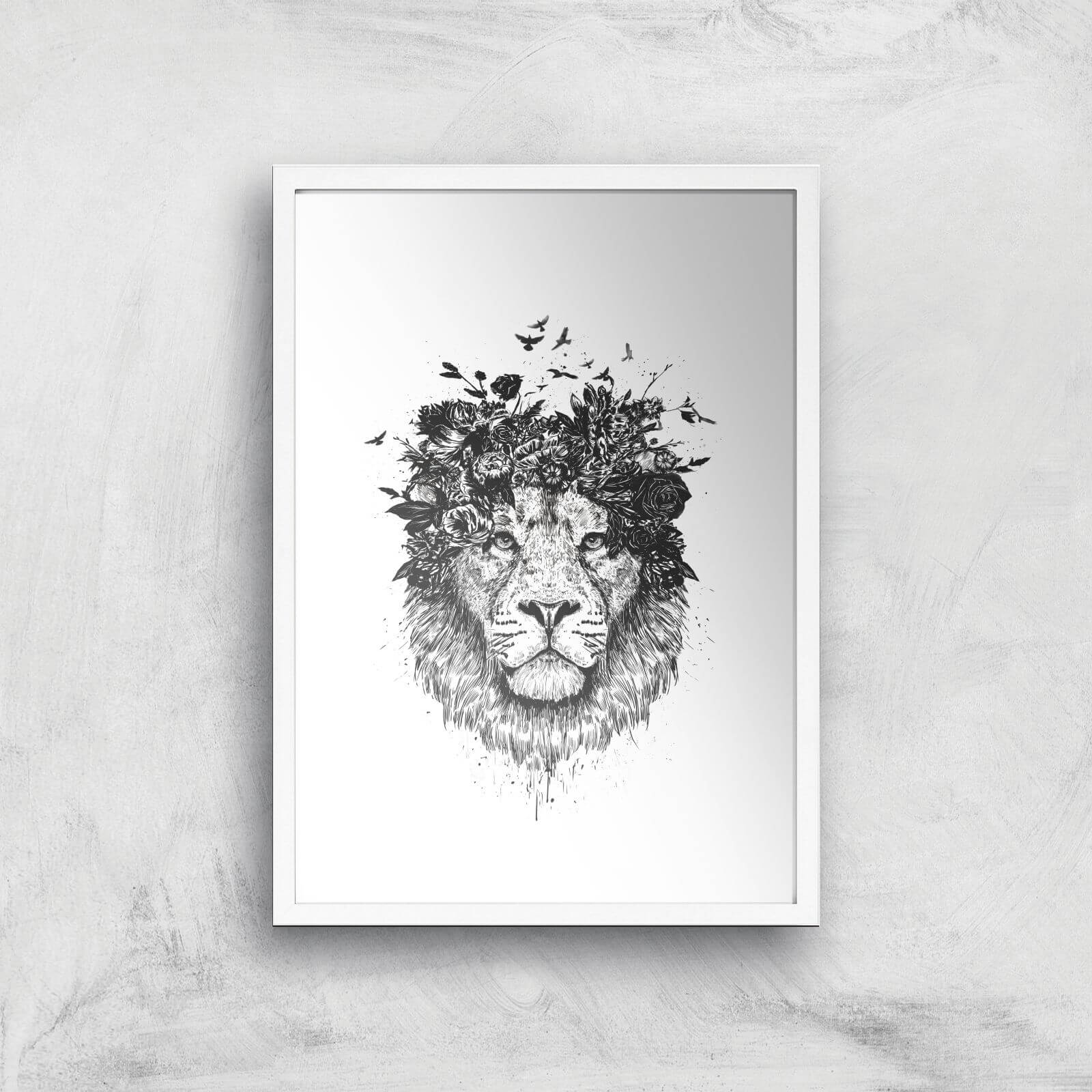 Balazs Solti Lion and Flowers Art Print - A2 - White Frame