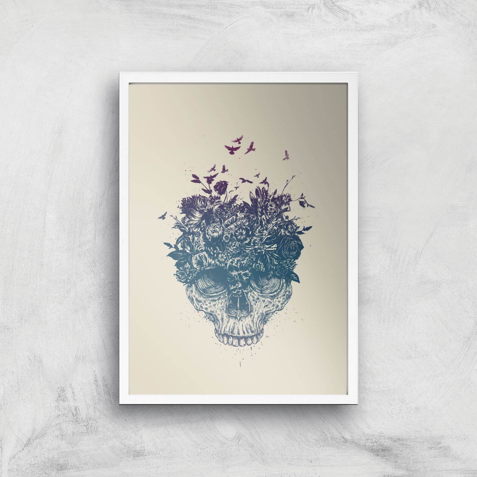 Balazs Solti Skulls and Flowers Art Print - A2 - White Frame