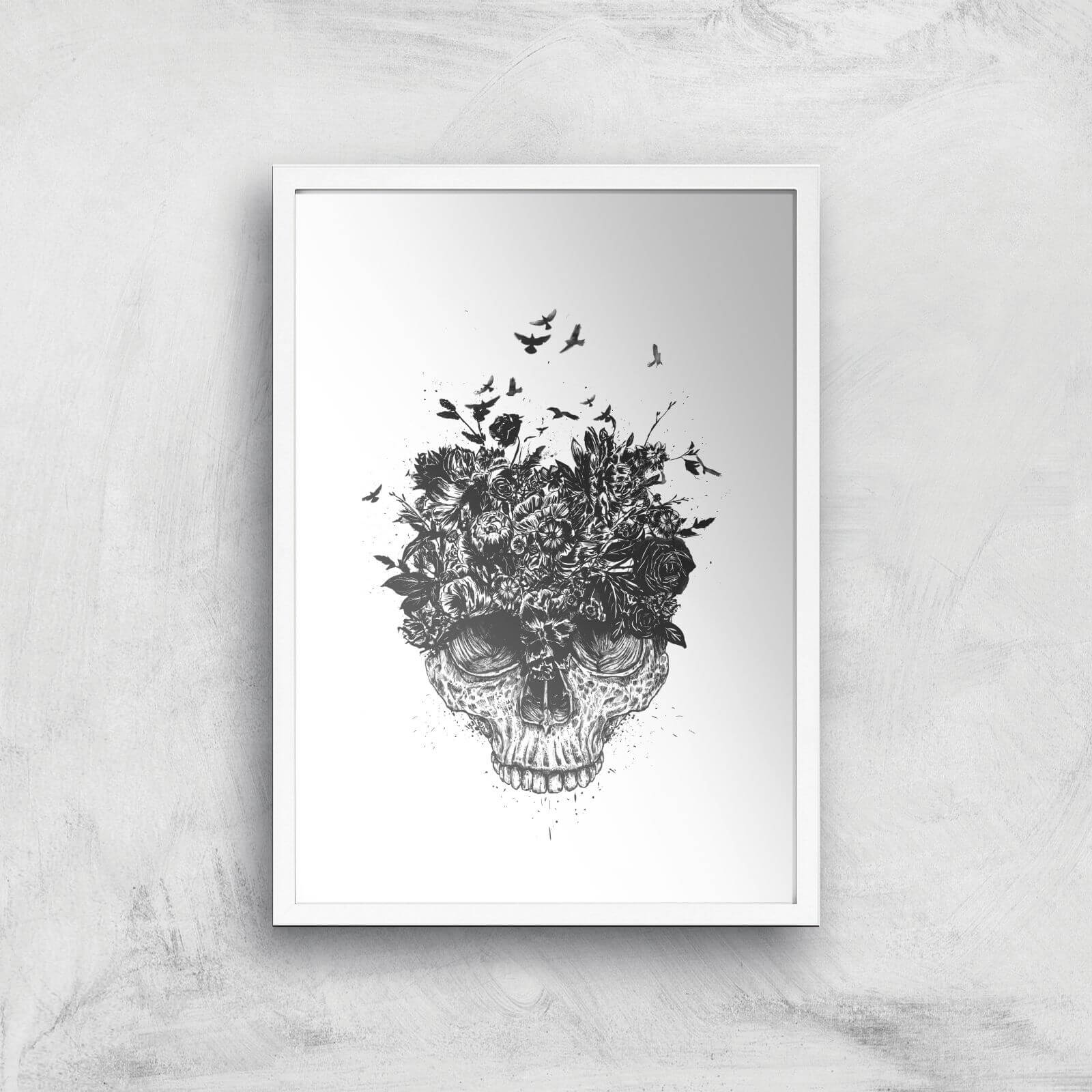 Balazs Solti Skulls and Flowers Art Print - A2 - White Frame
