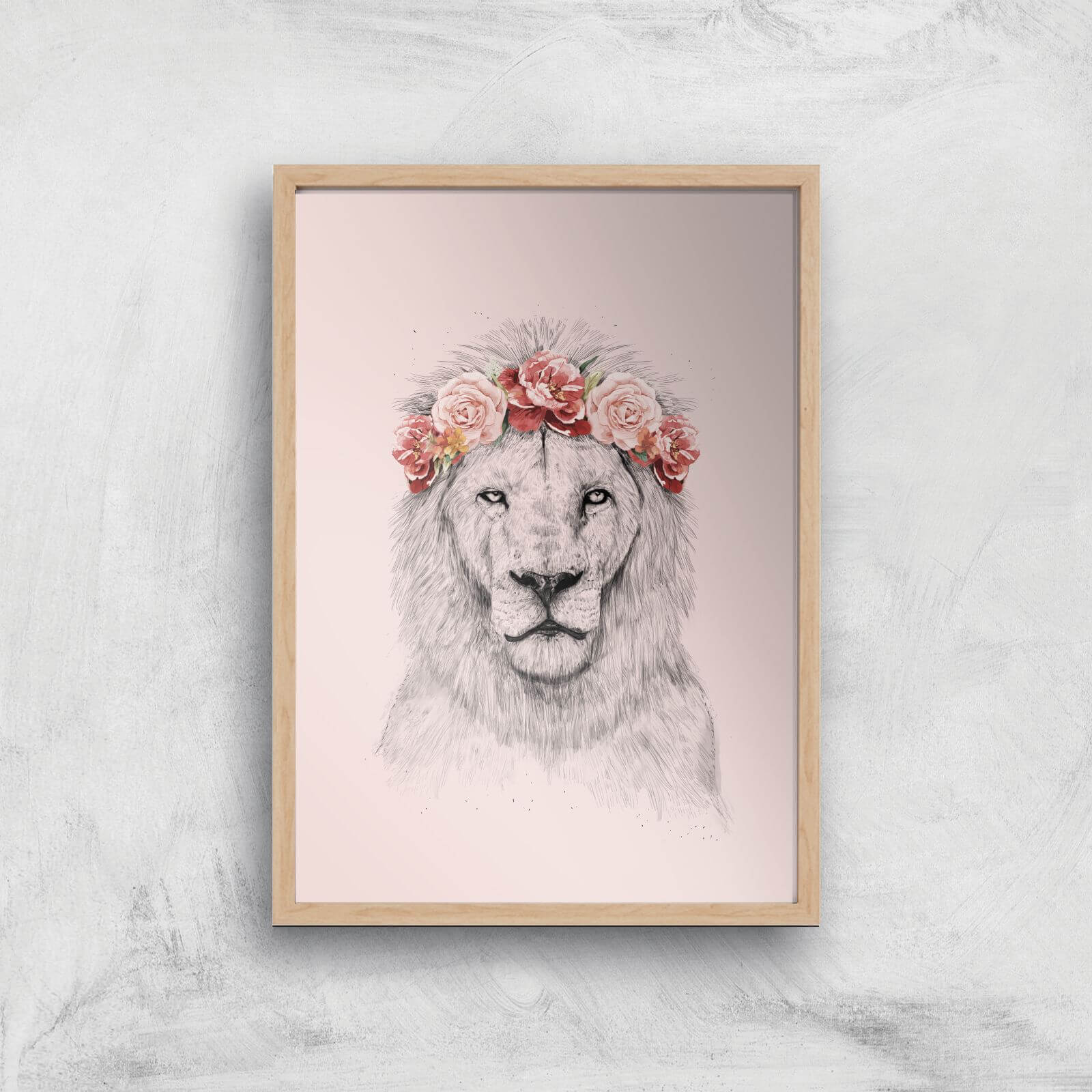 Balazs Solti Lion and Flowers Art Print - A2 - Wood Frame