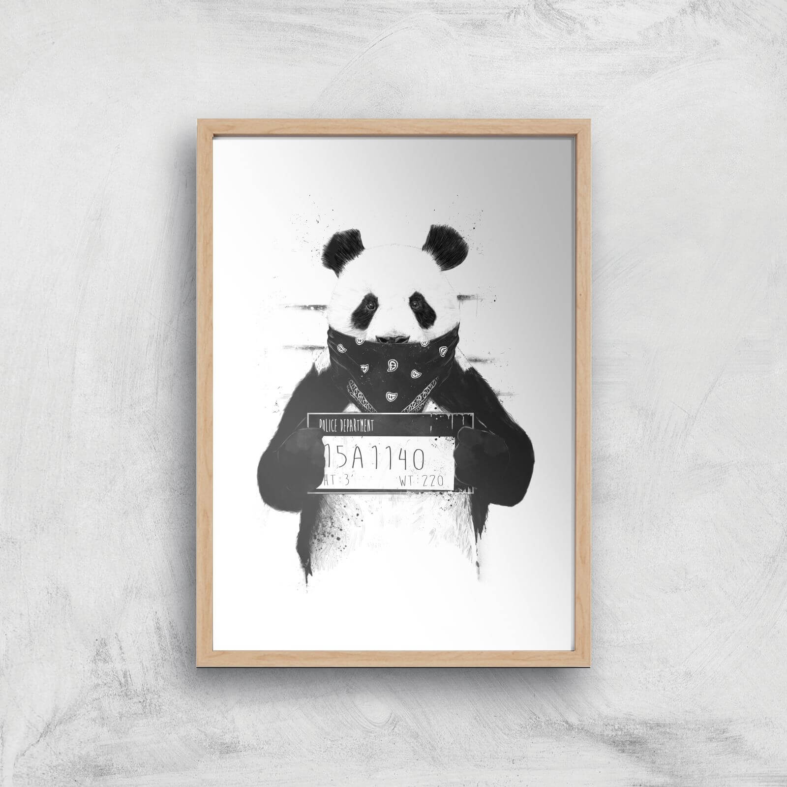 Balazs Solti Bandana Panda Art Print - A2 - Wood Frame