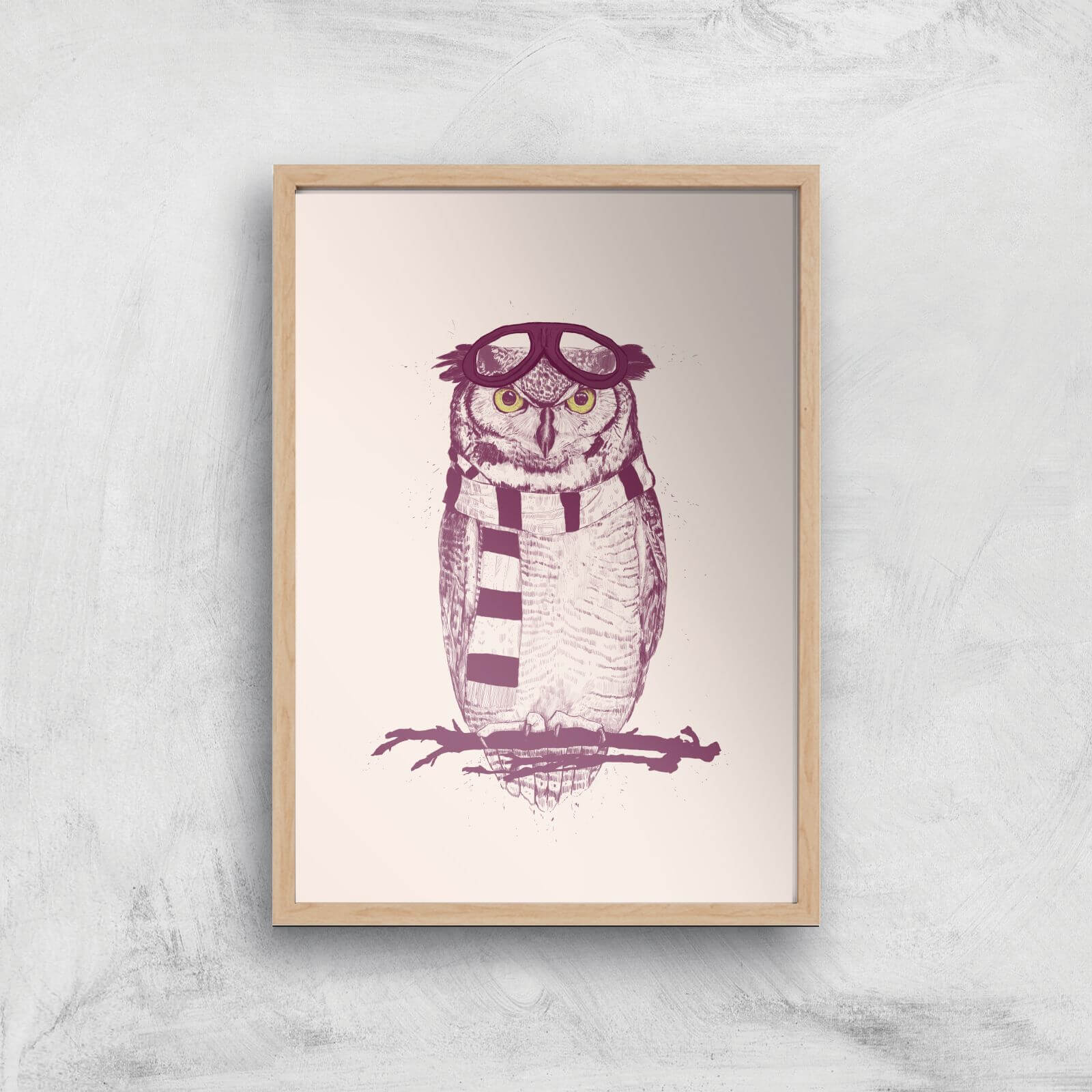 Balazs Solti Winter Owl Art Print - A2 - Wood Frame