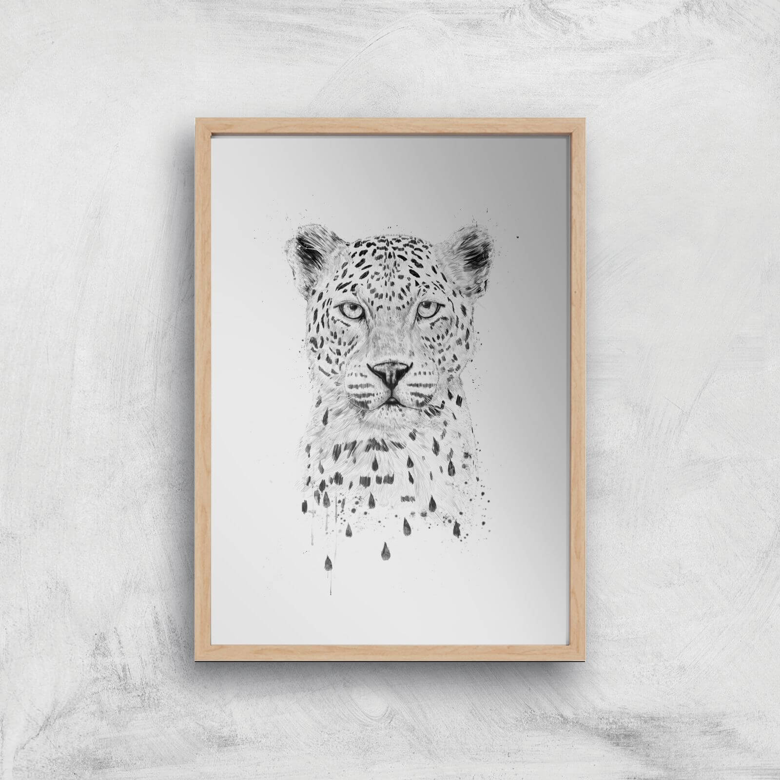 Balazs Solti Leopard Art Print - A2 - Wood Frame