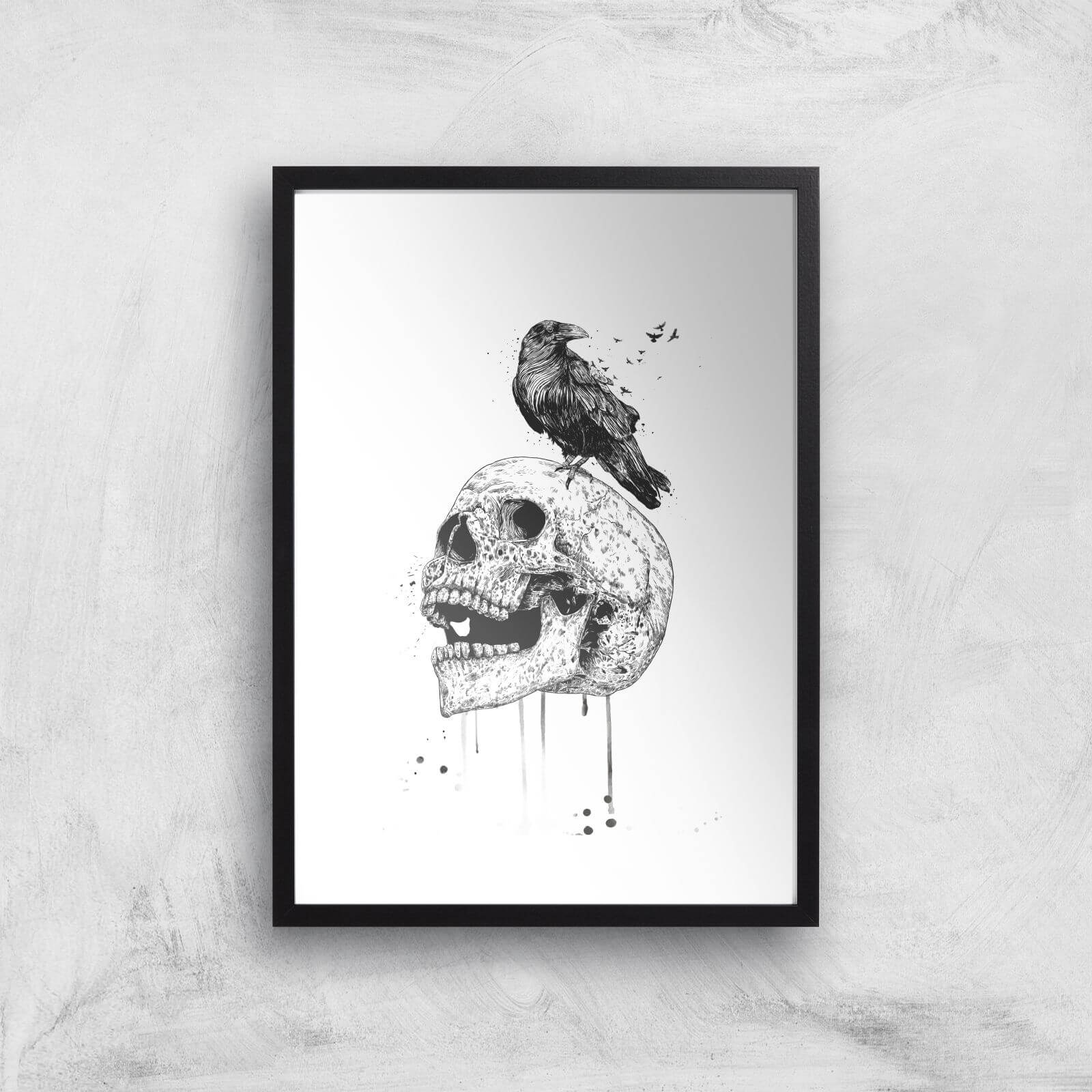 Balazs Solti Skull and Crow Art Print - A3 - Black Frame