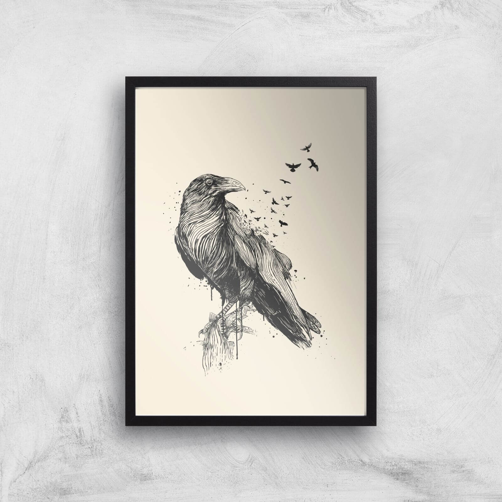 Balazs Solti Birds Flying Art Print - A3 - Black Frame