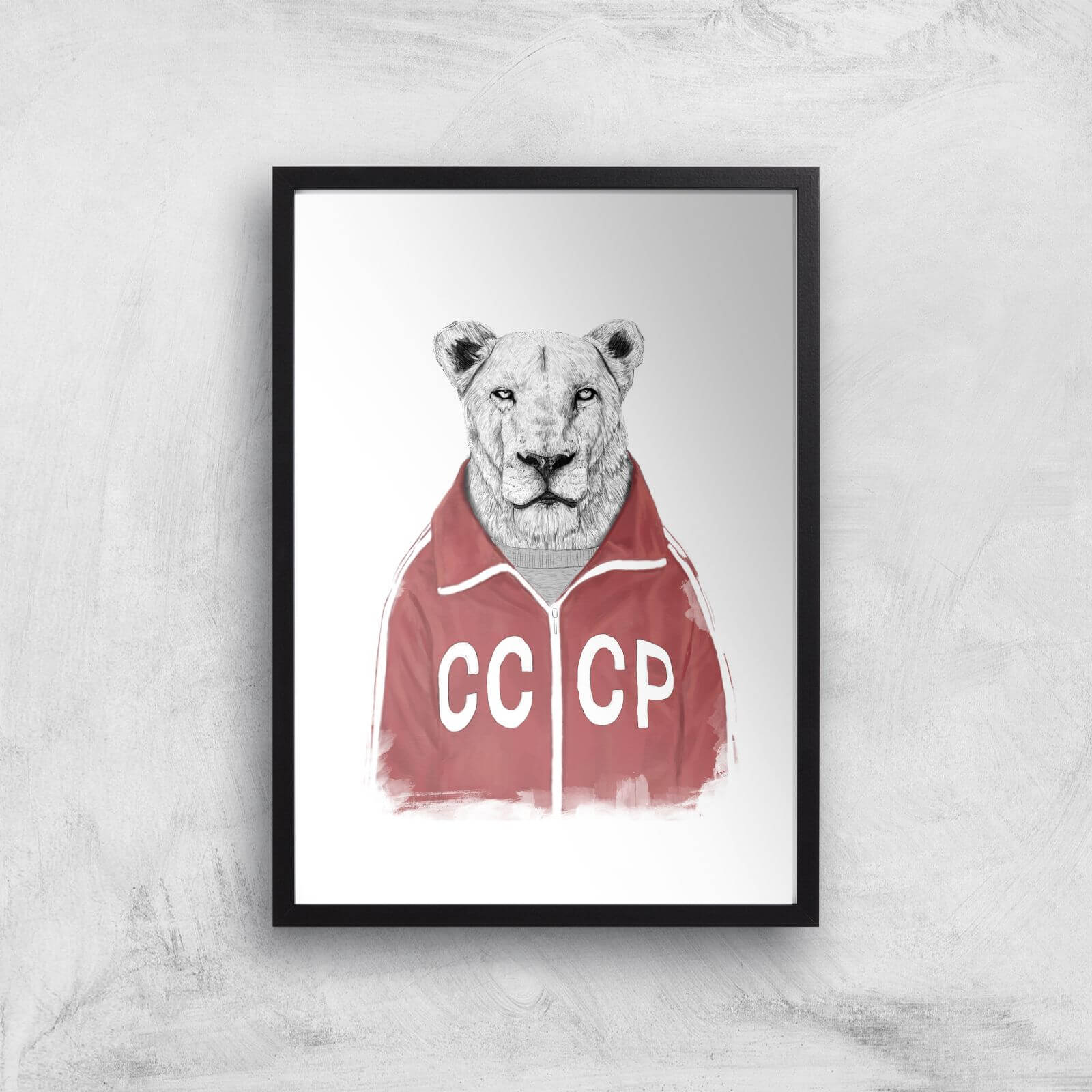 Balazs Solti CCCP Lion Art Print - A3 - Black Frame