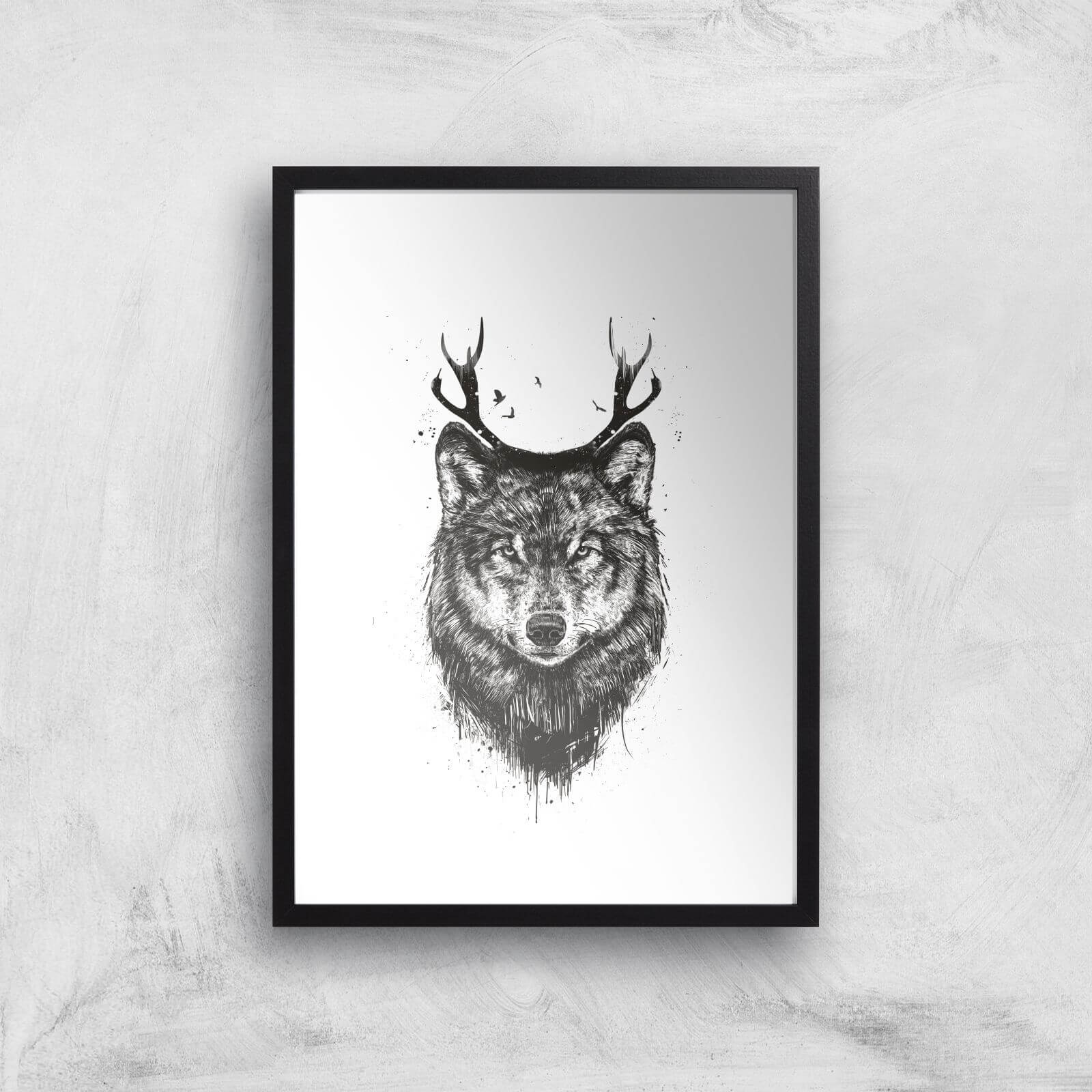 Balazs Solti Wolf Art Print - A3 - Black Frame