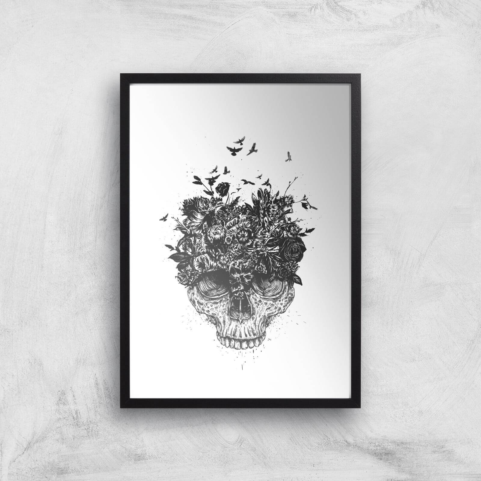 Balazs Solti Skulls and Flowers Art Print - A3 - Black Frame