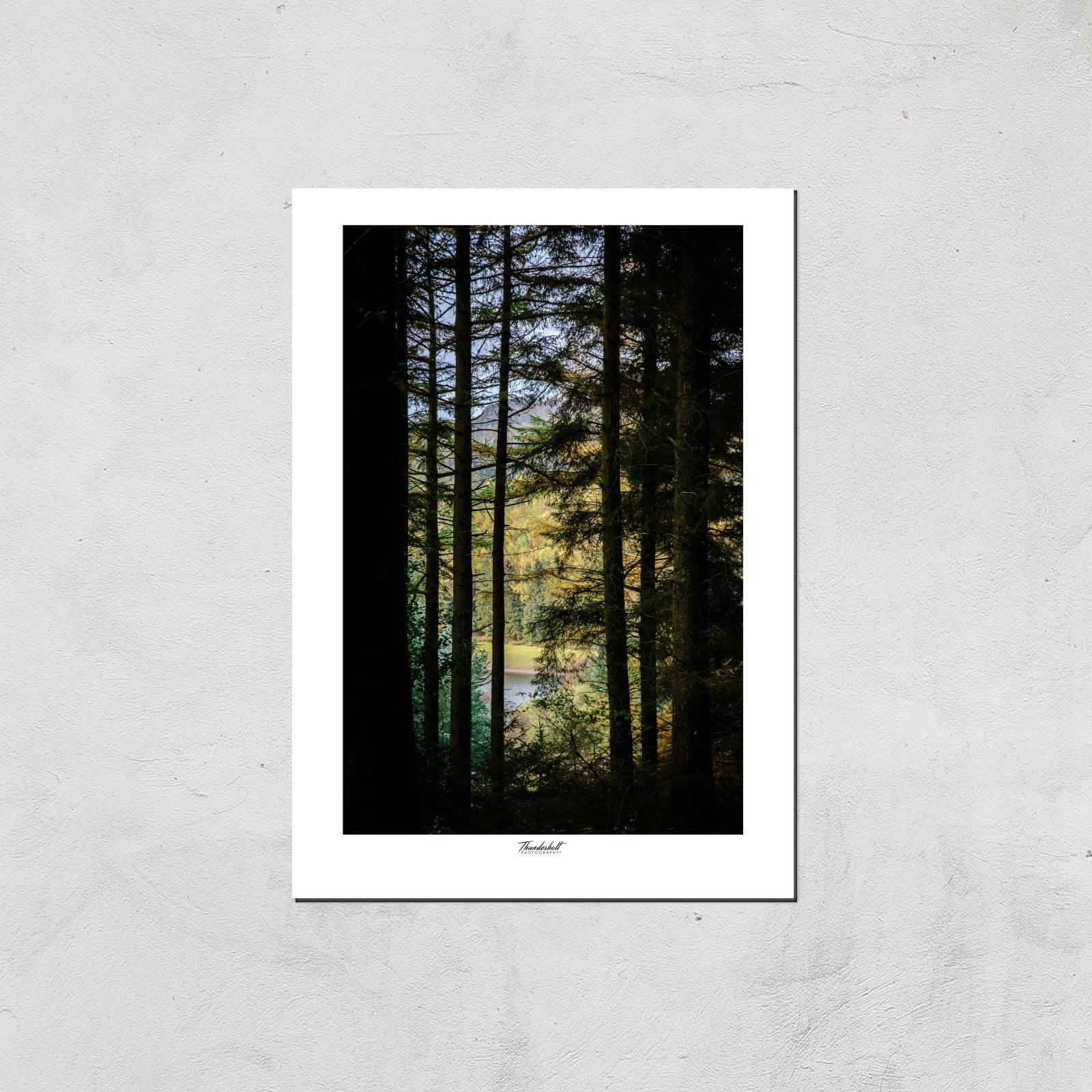 Macclesfield Forest Giclée Art Print - A3 - Print Only