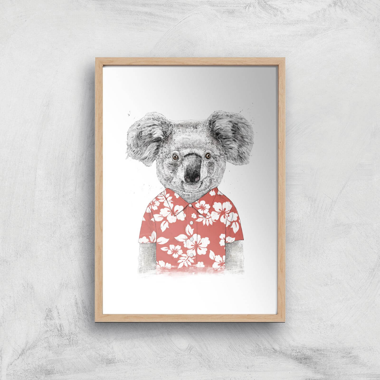 Balazs Solti Koala Bear Art Print - A4 - Wood Frame