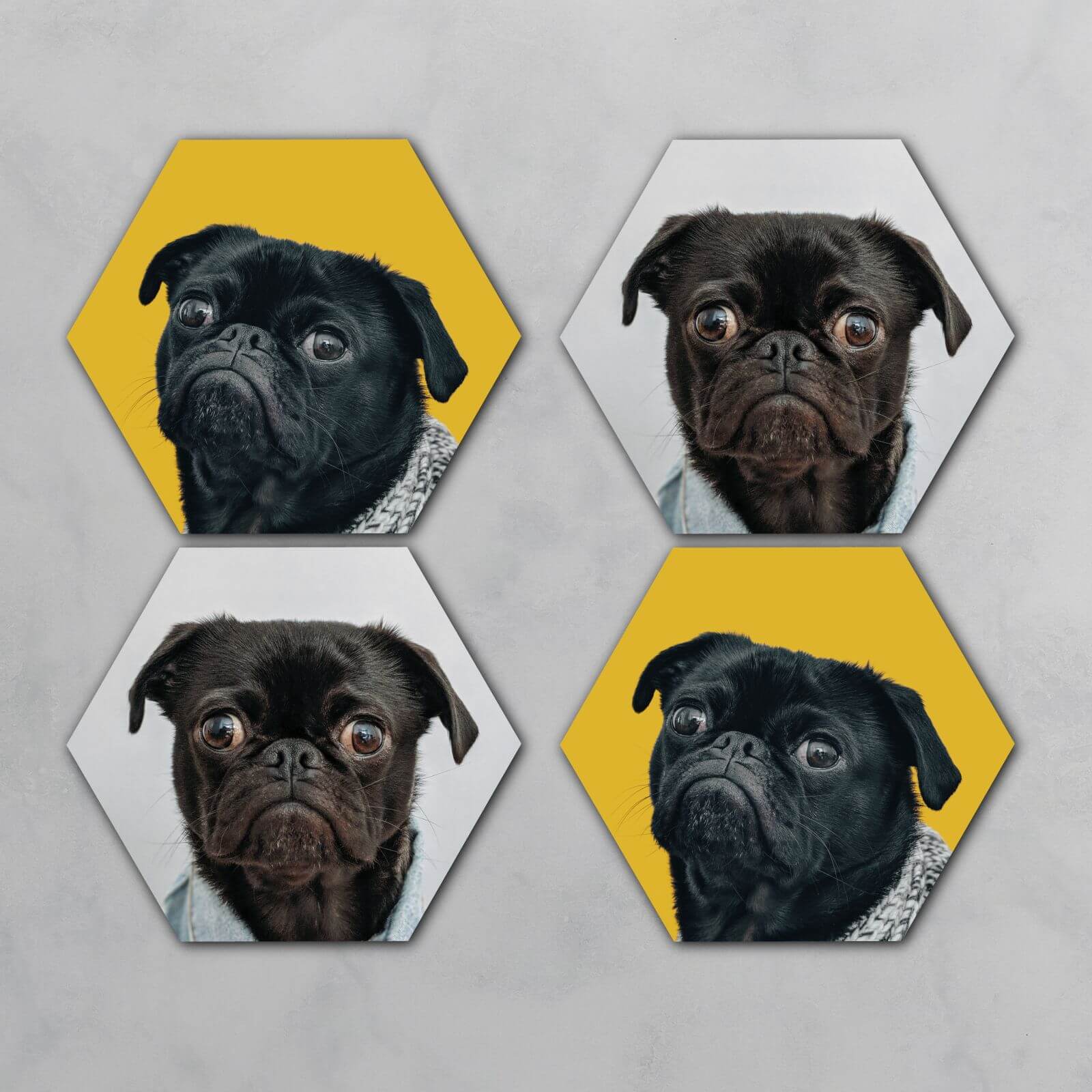Pugs Hexagonal Coaster Set