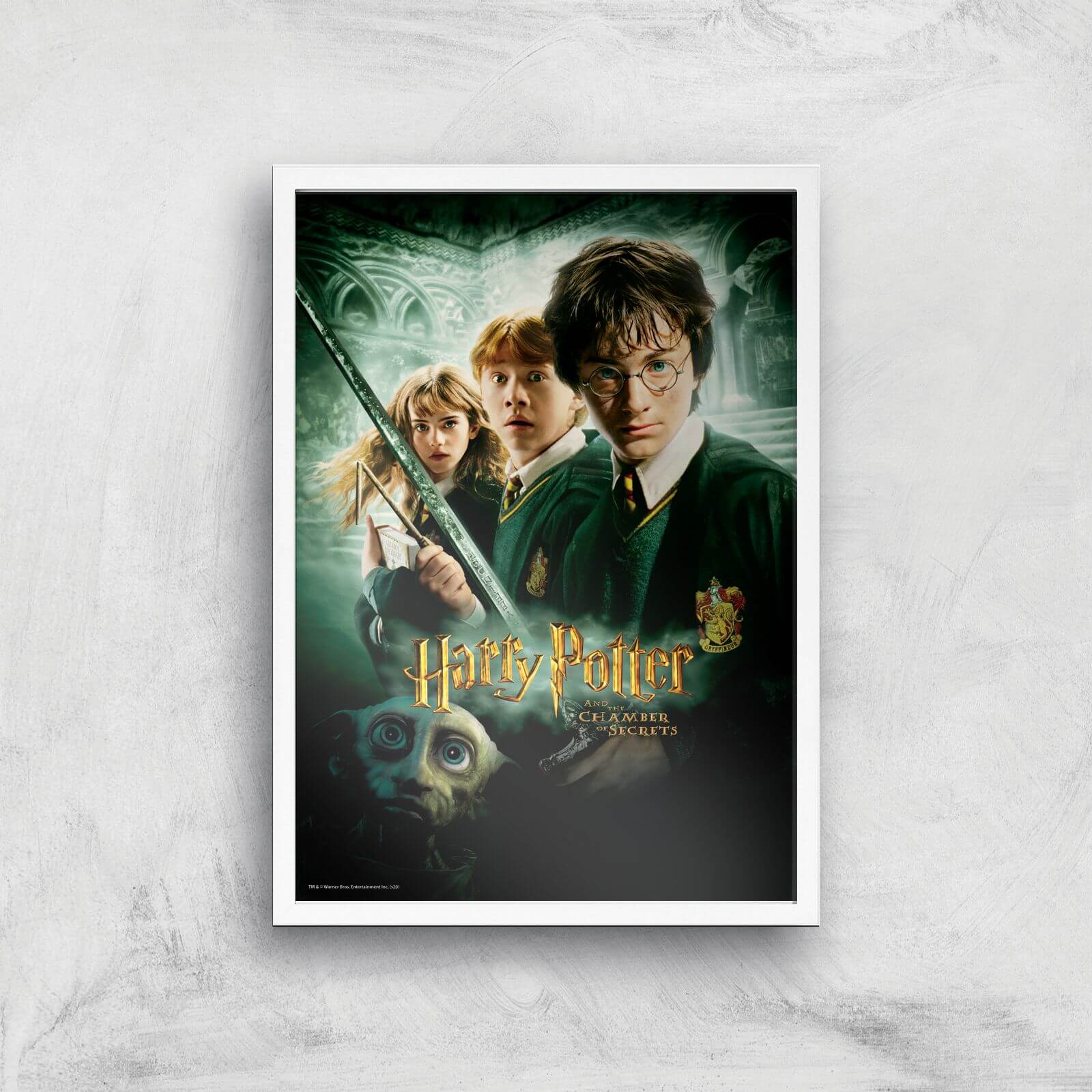 

Harry Potter and the Chamber Of Secrets Giclee Art Print - A4 - White Frame