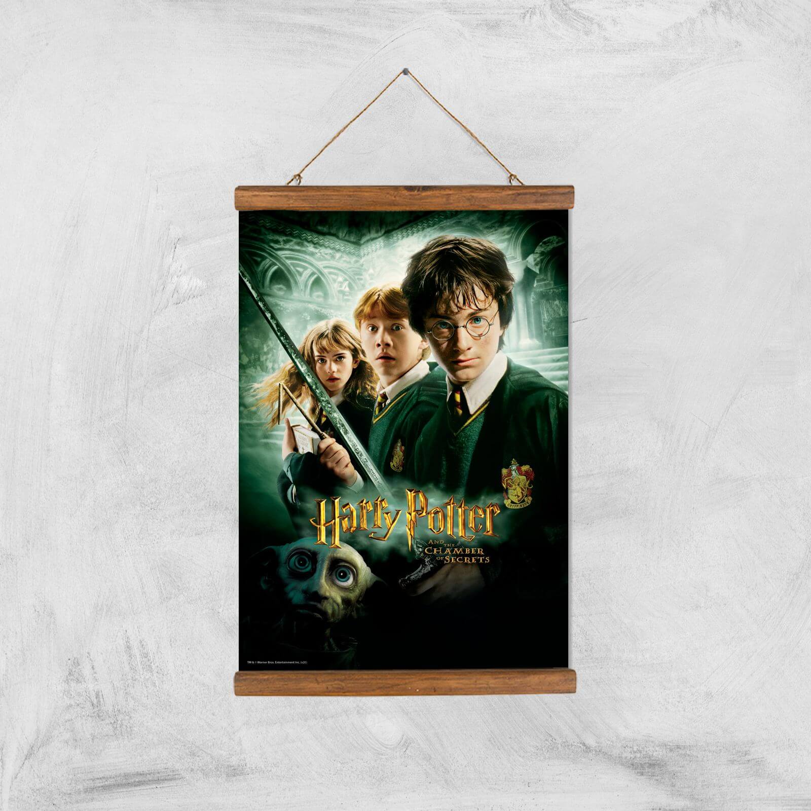 Harry Potter and the Chamber Of Secrets Giclee Art Print - A3 - Wooden Hanger