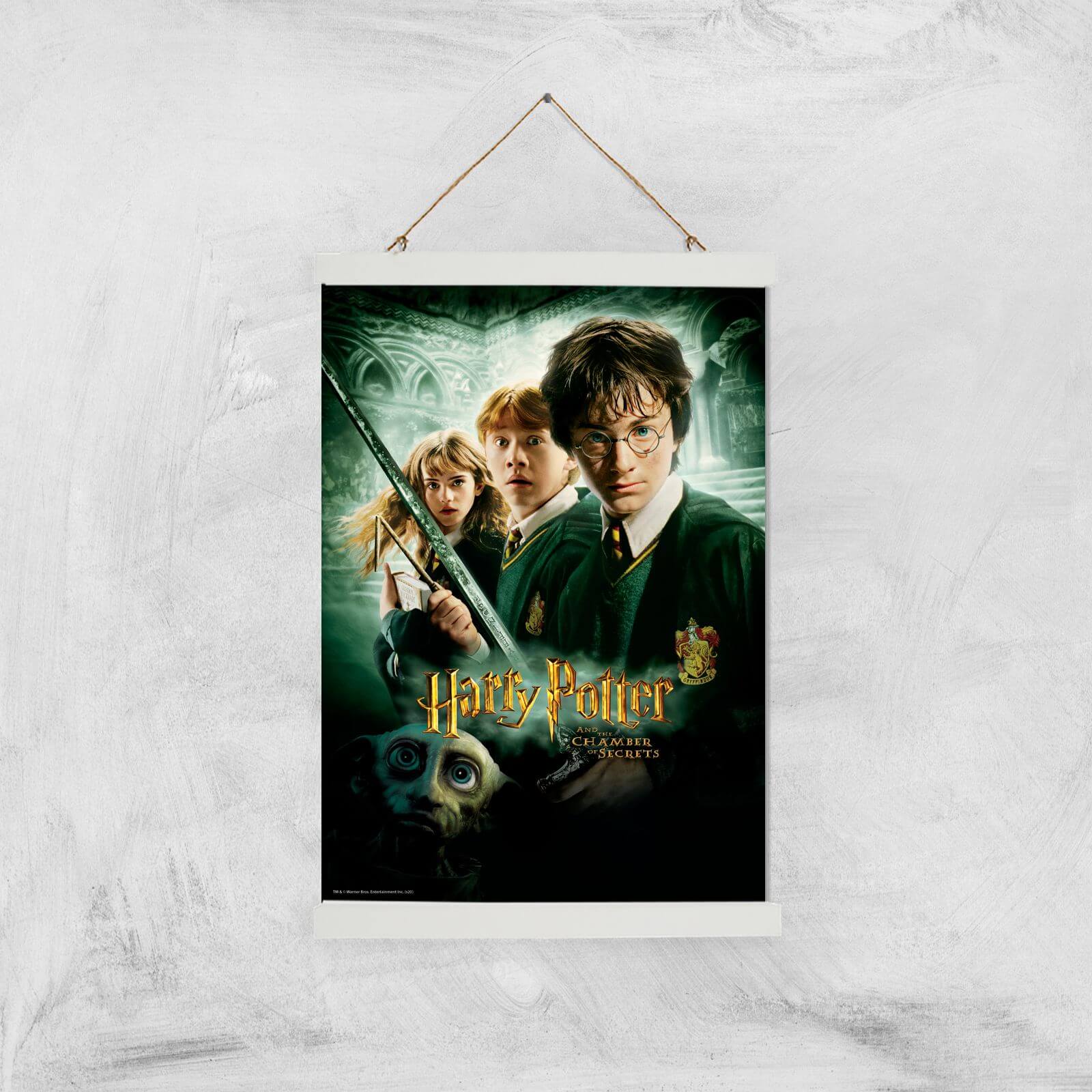 Harry Potter and the Chamber Of Secrets Giclee Art Print - A3 - White Hanger