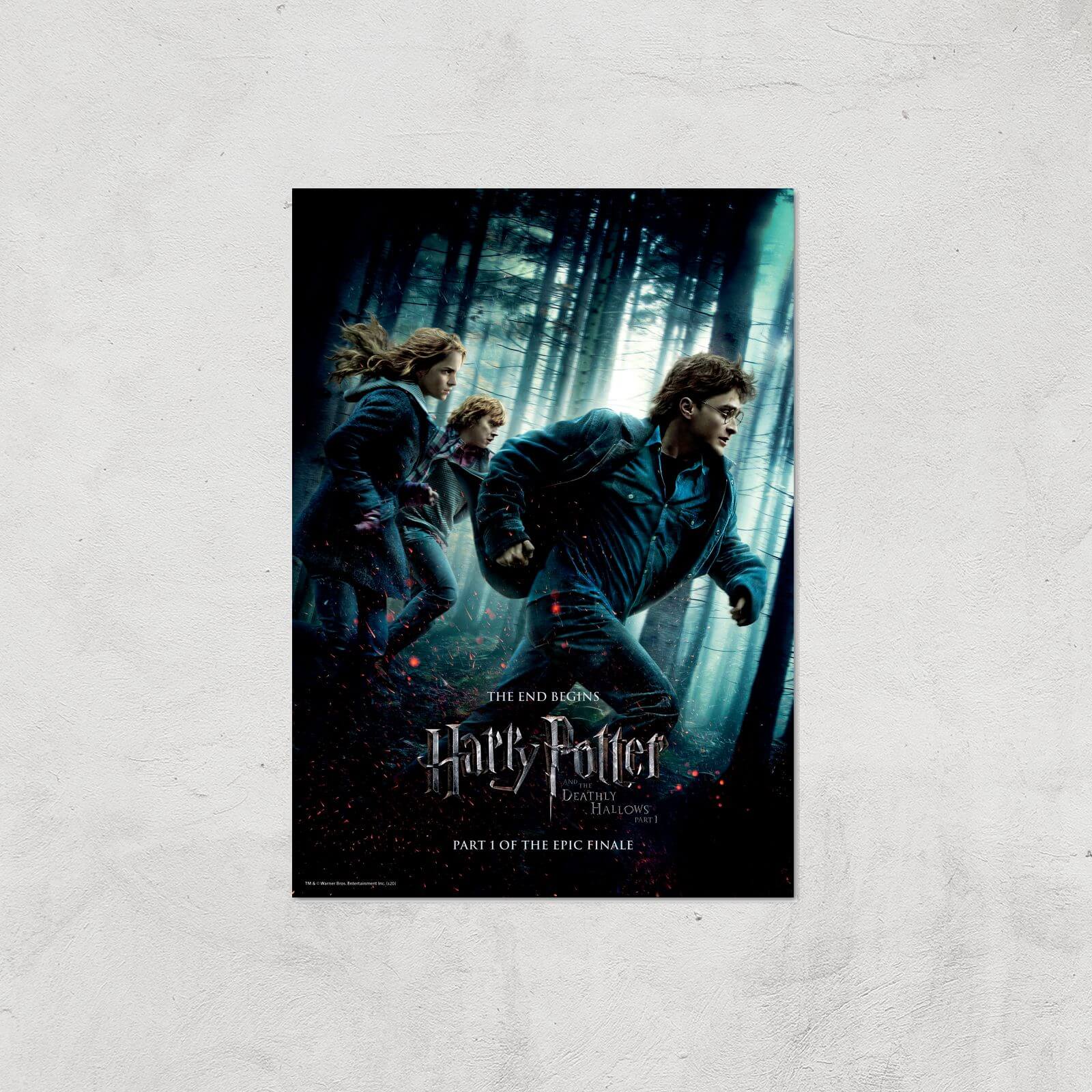 

Harry Potter and the Deathly Hallows Part 1 Giclee Art Print - A4 - Print Only