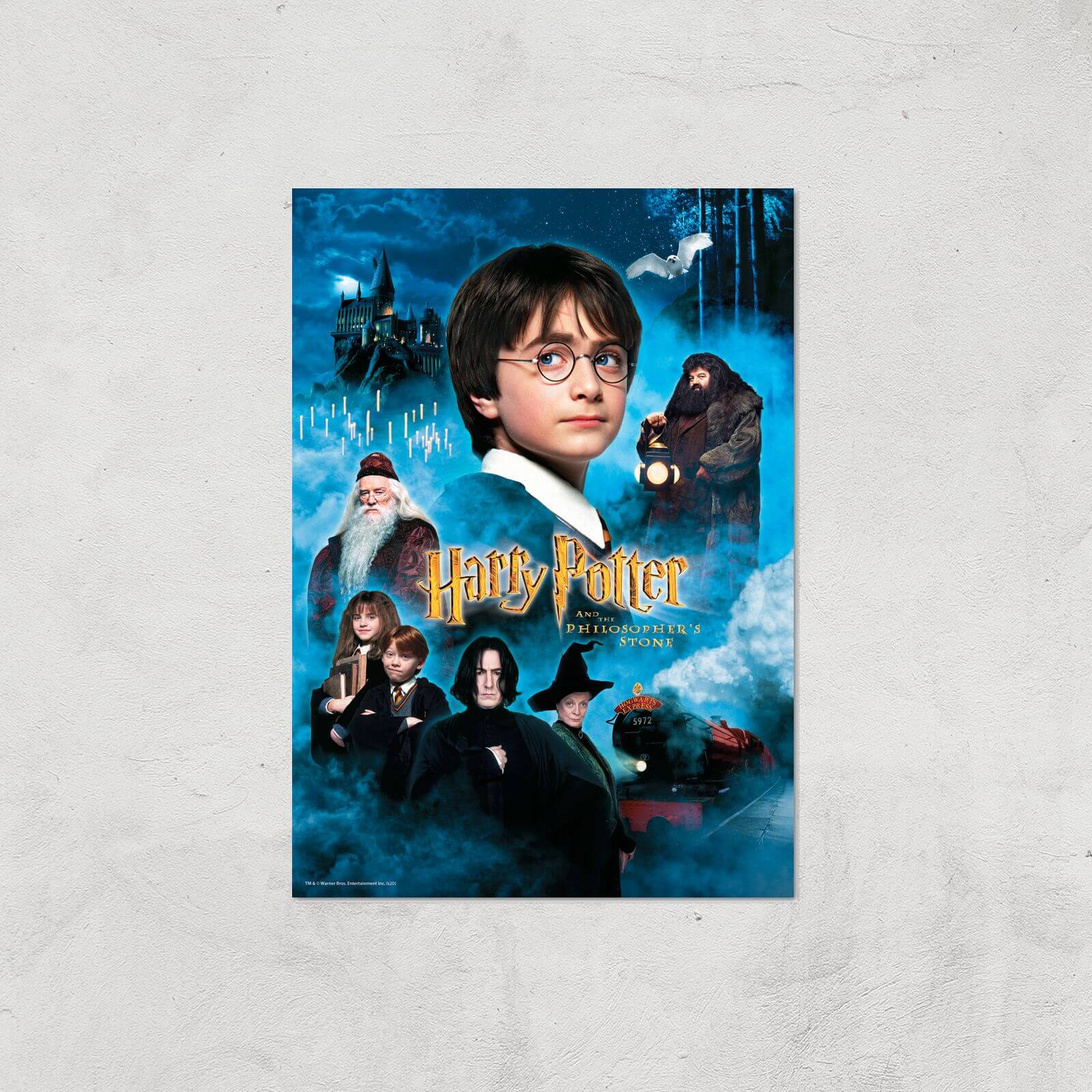 

Harry Potter and the Philosopher's Stone Giclee Art Print - A2 - Print Only