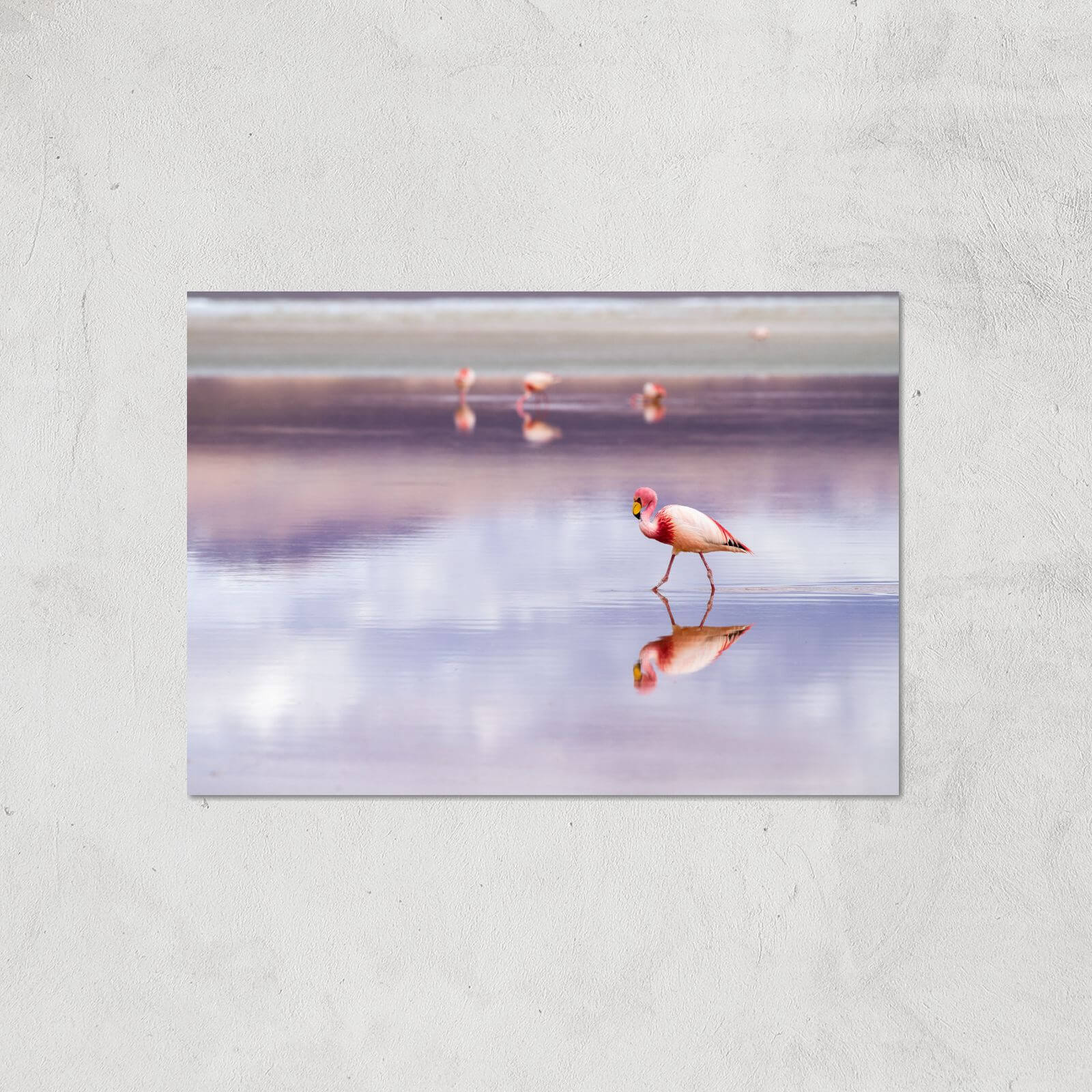 Solitary Flamingo Giclee Art Print - A4 - Print Only