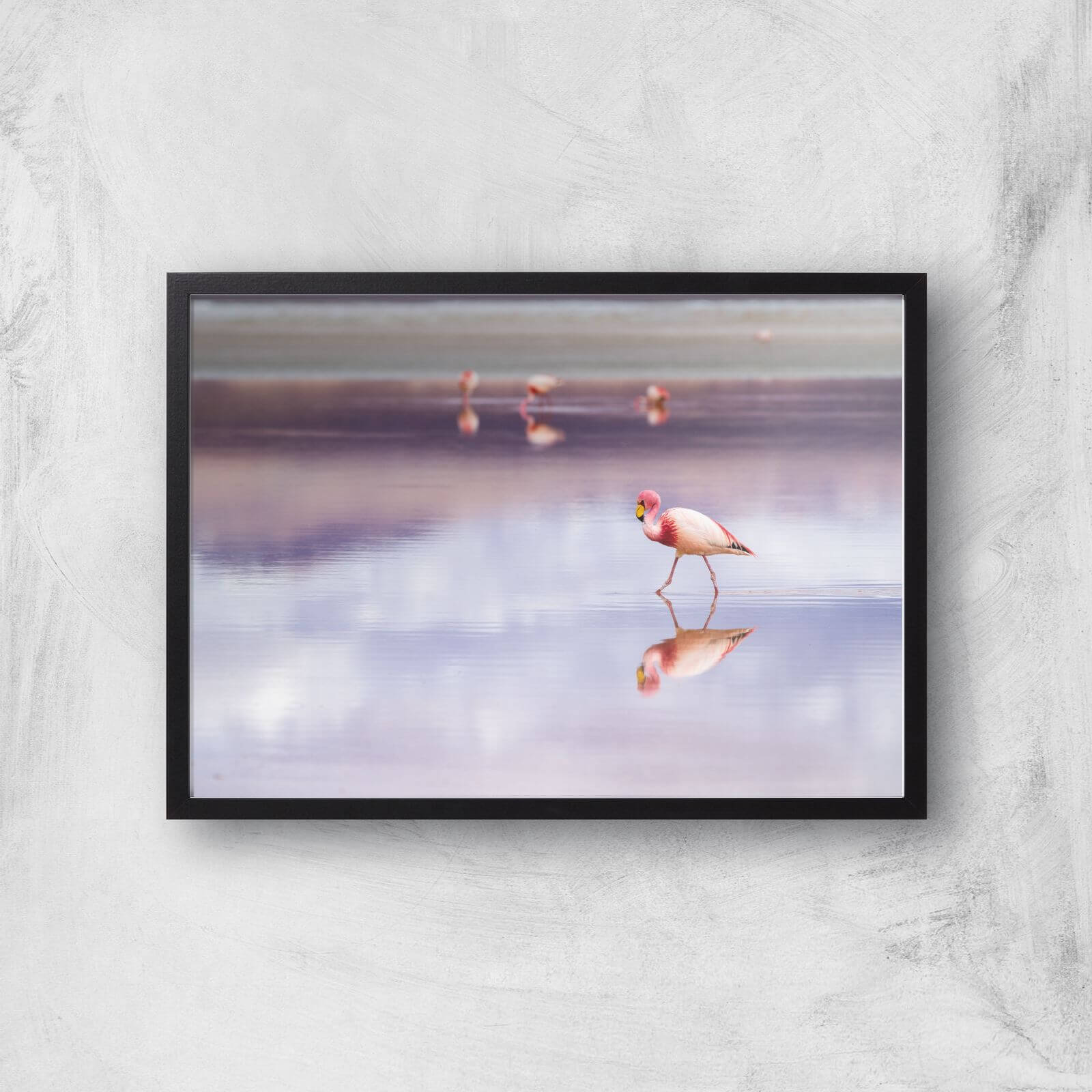 Solitary Flamingo Giclee Art Print - A3 - Black Frame