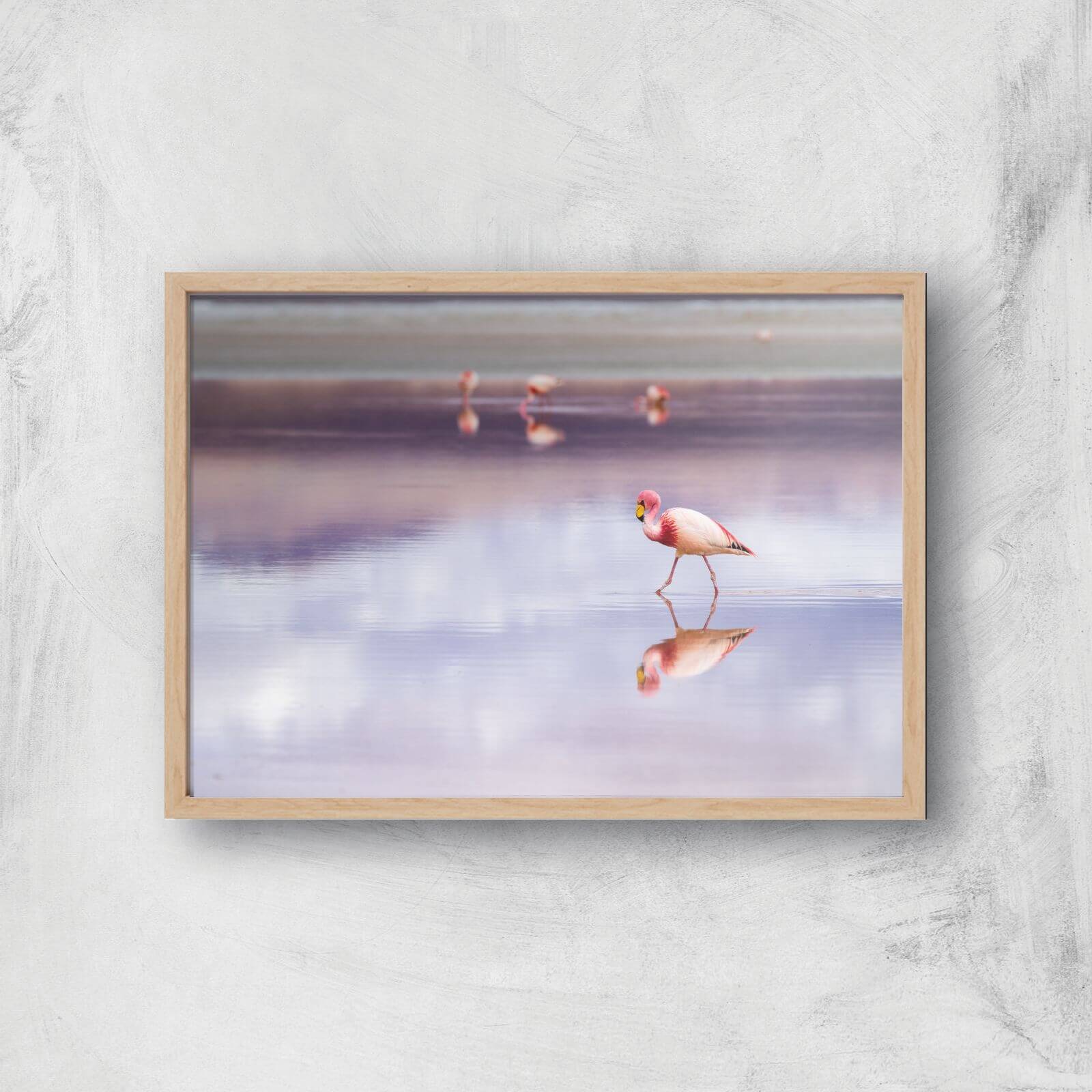 Solitary Flamingo Giclee Art Print - A2 - Wooden Frame