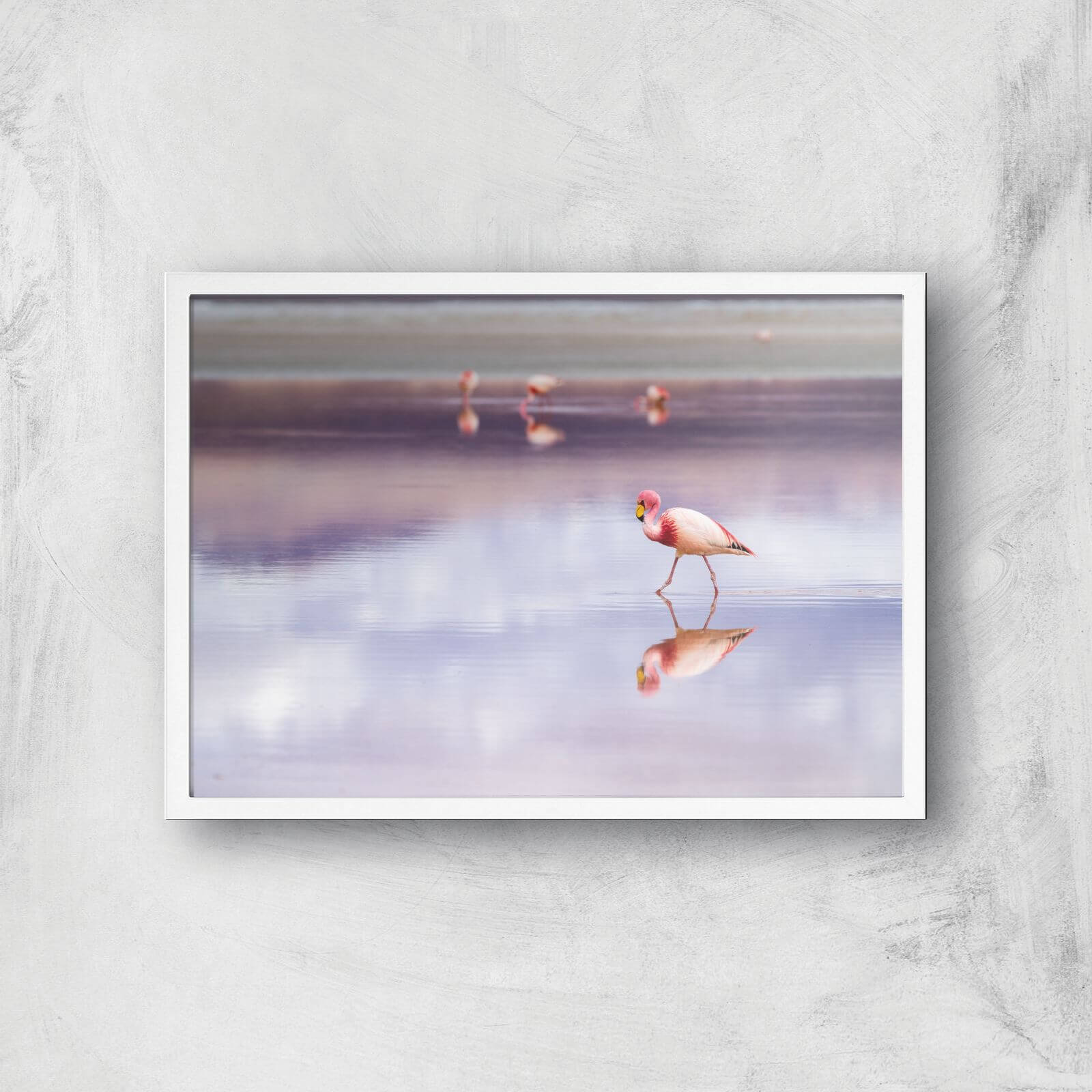 Solitary Flamingo Giclee Art Print - A2 - White Frame