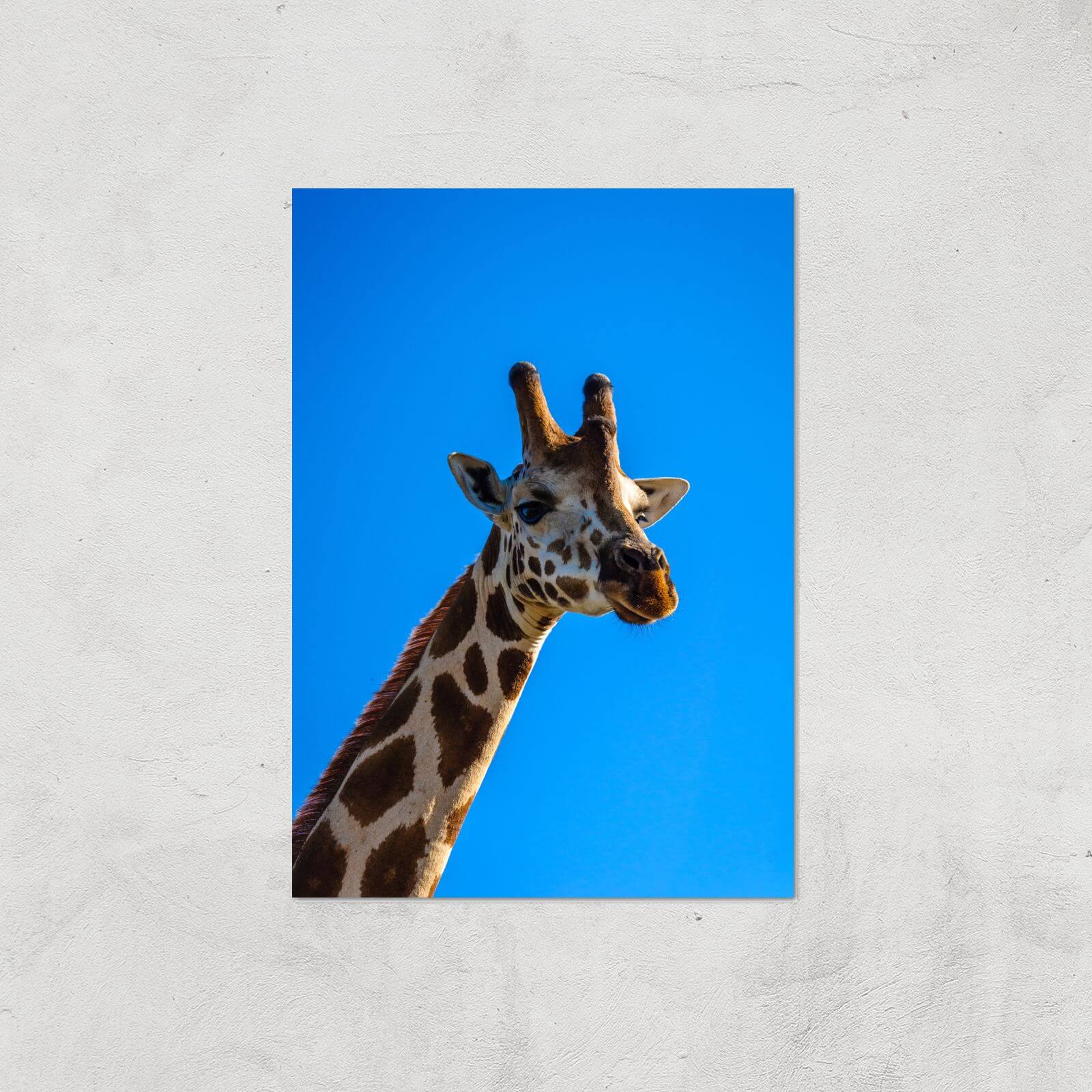 Giraffe Giclee Art Print - A4 - Print Only