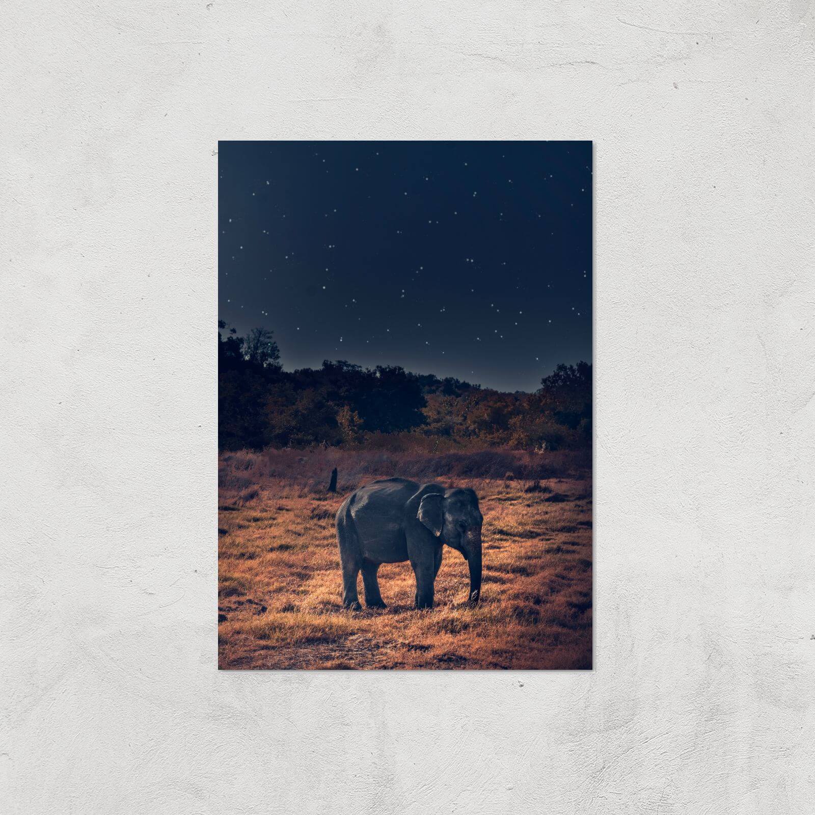 Elephant At Night Giclee Art Print - A4 - Print Only