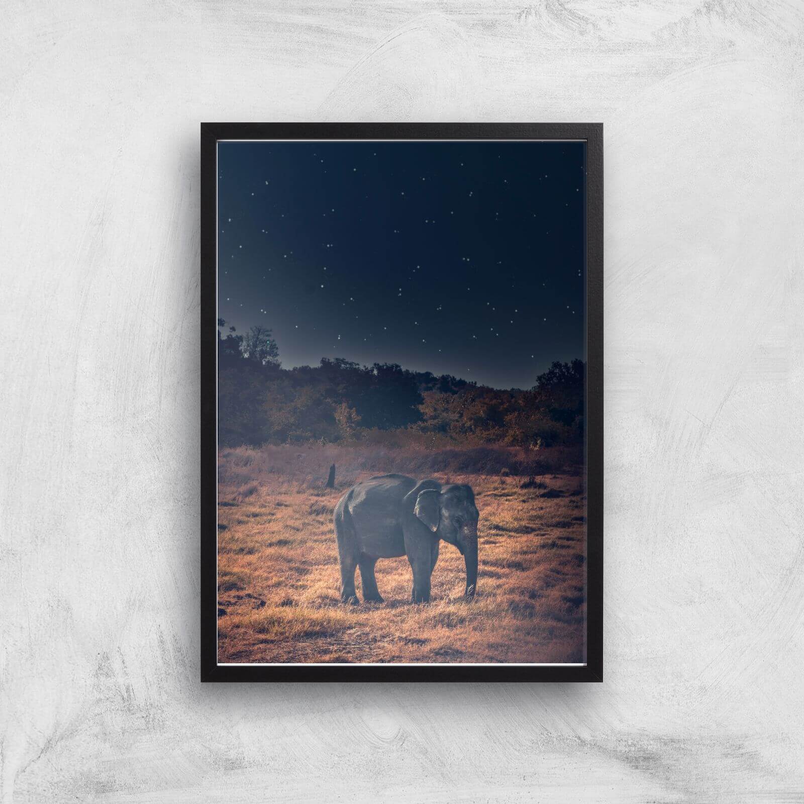Elephant At Night Giclee Art Print - A3 - Black Frame