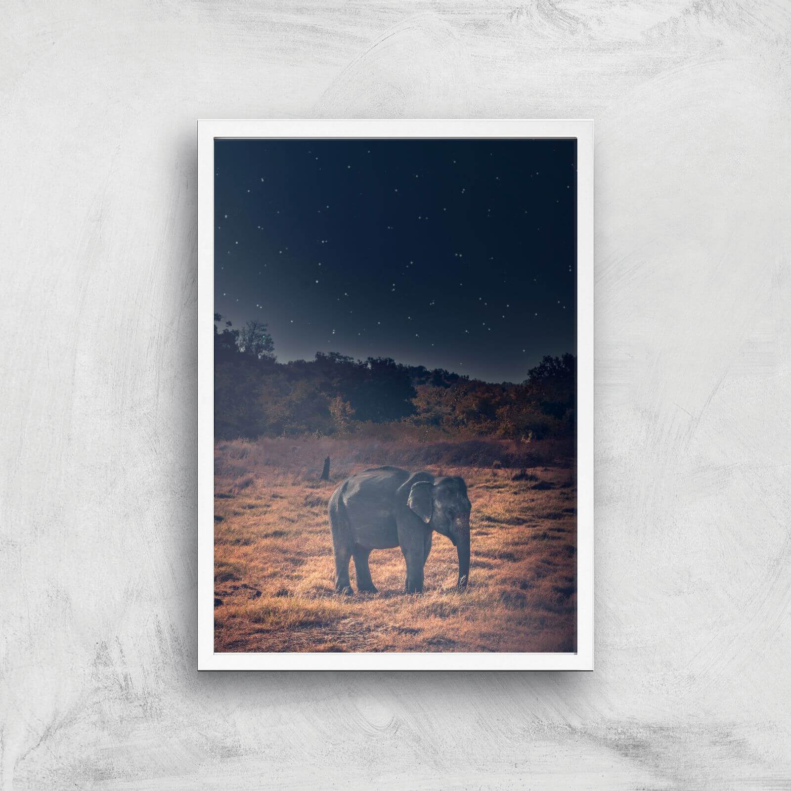 Elephant At Night Giclee Art Print - A2 - White Frame