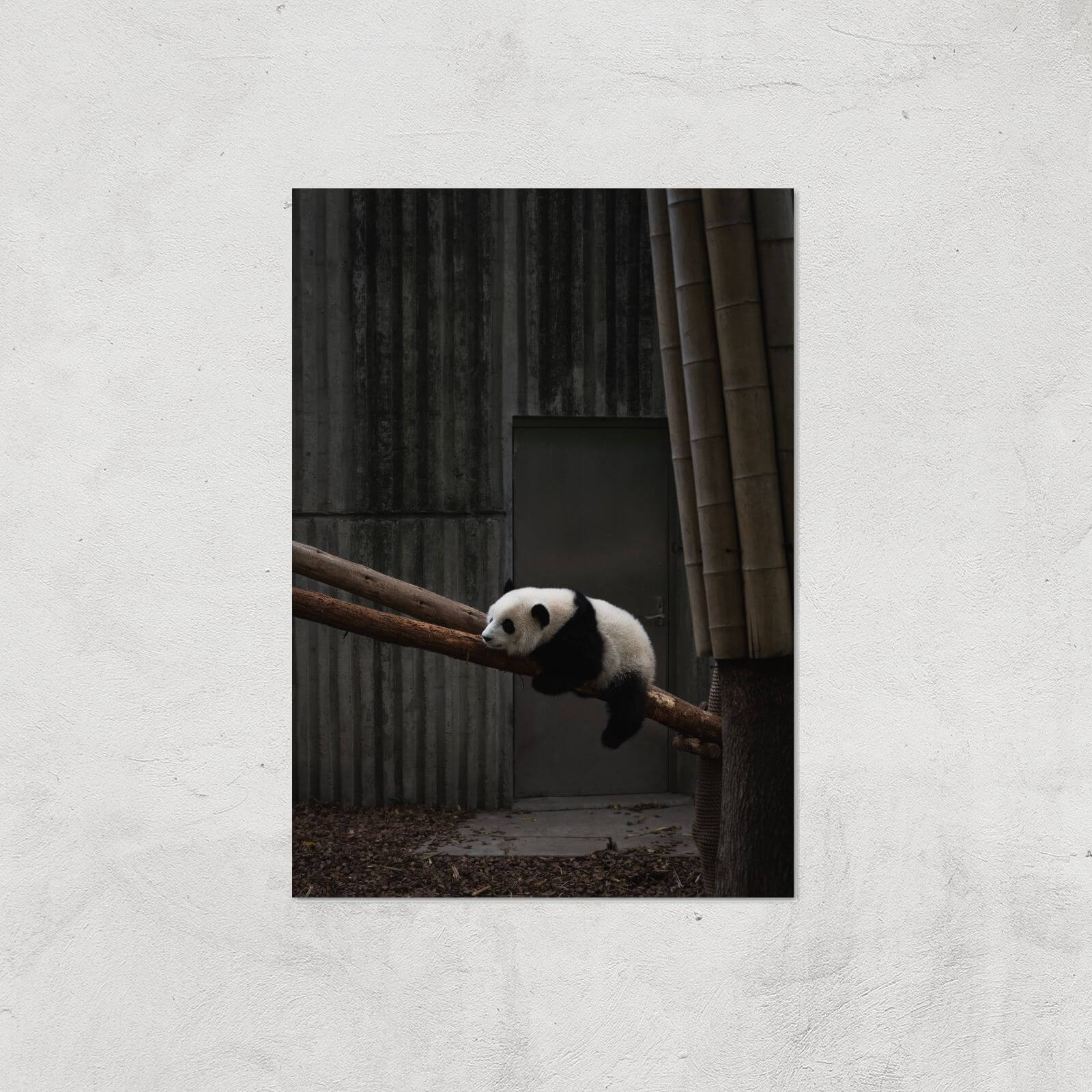 Getting Comfy Giclee Art Print - A4 - Print Only