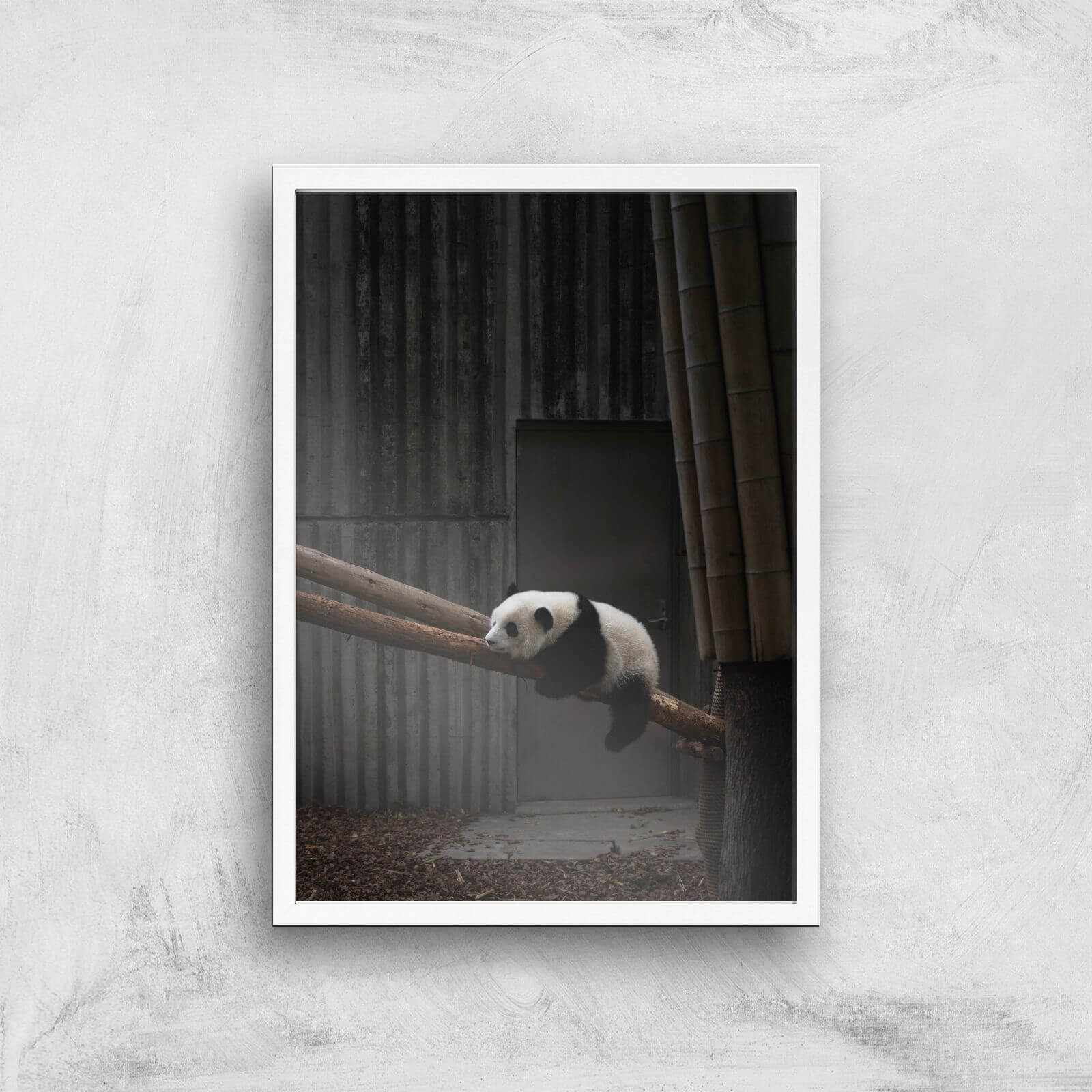 Getting Comfy Giclee Art Print - A3 - White Frame