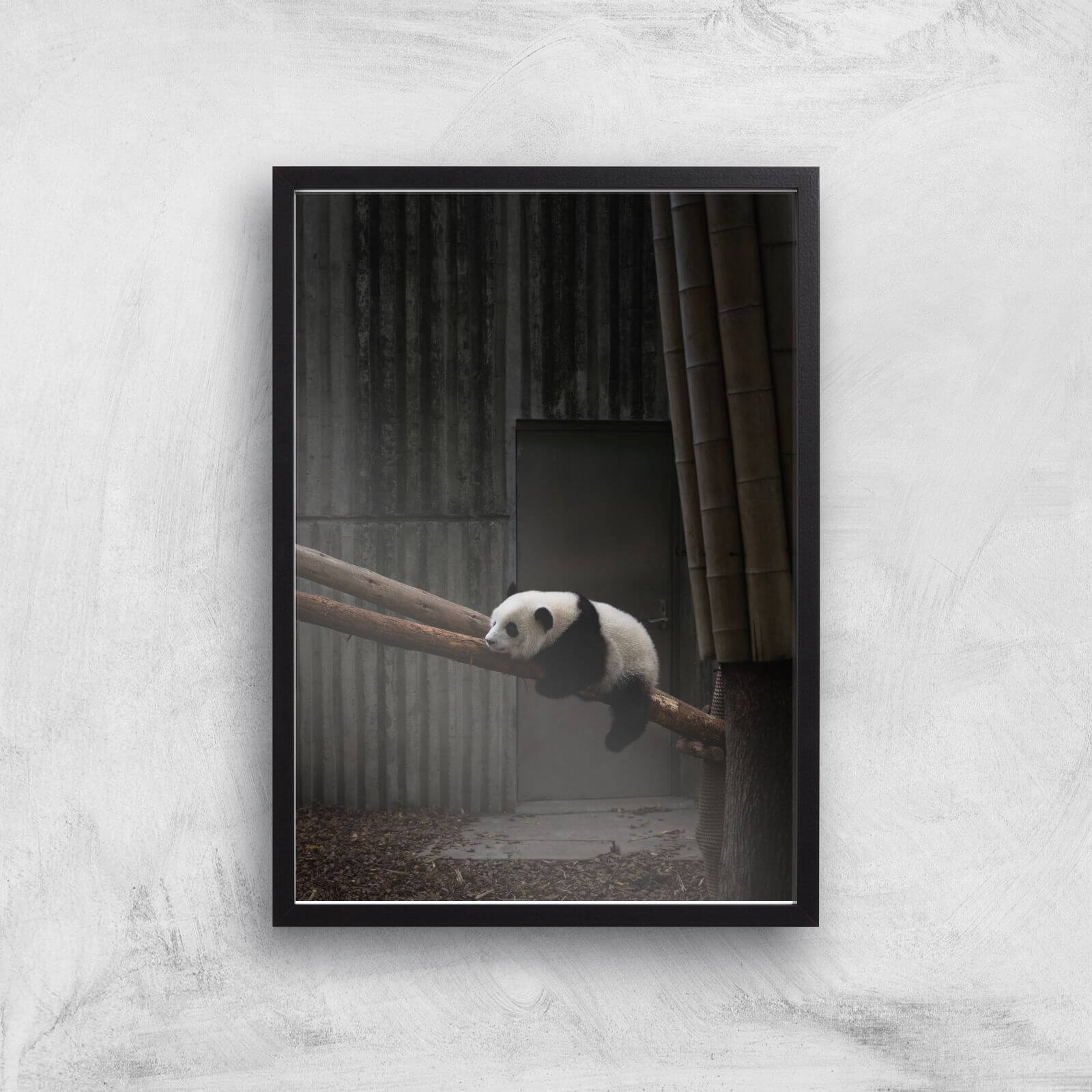 Getting Comfy Giclee Art Print - A3 - Black Frame