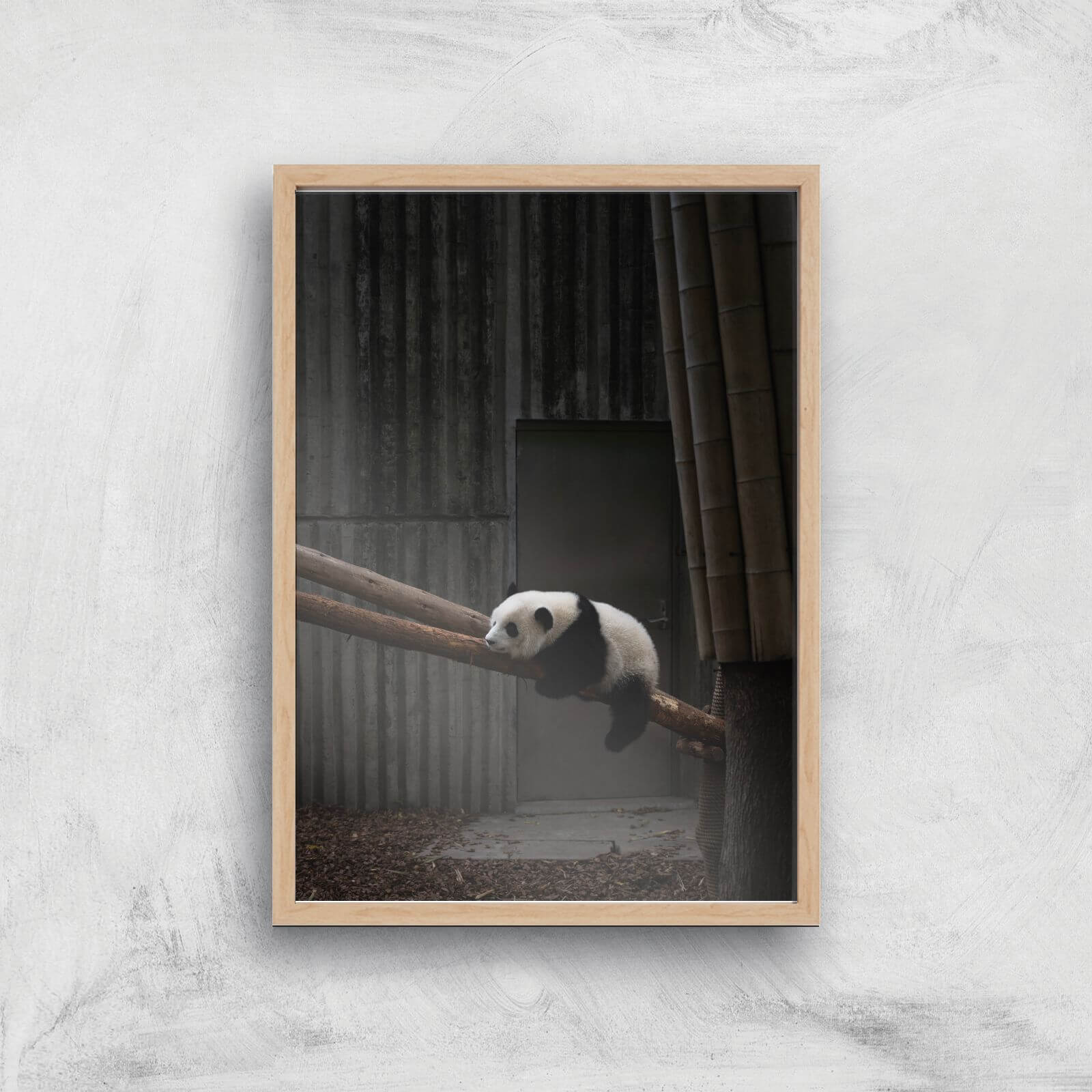 Getting Comfy Giclee Art Print - A2 - Wooden Frame