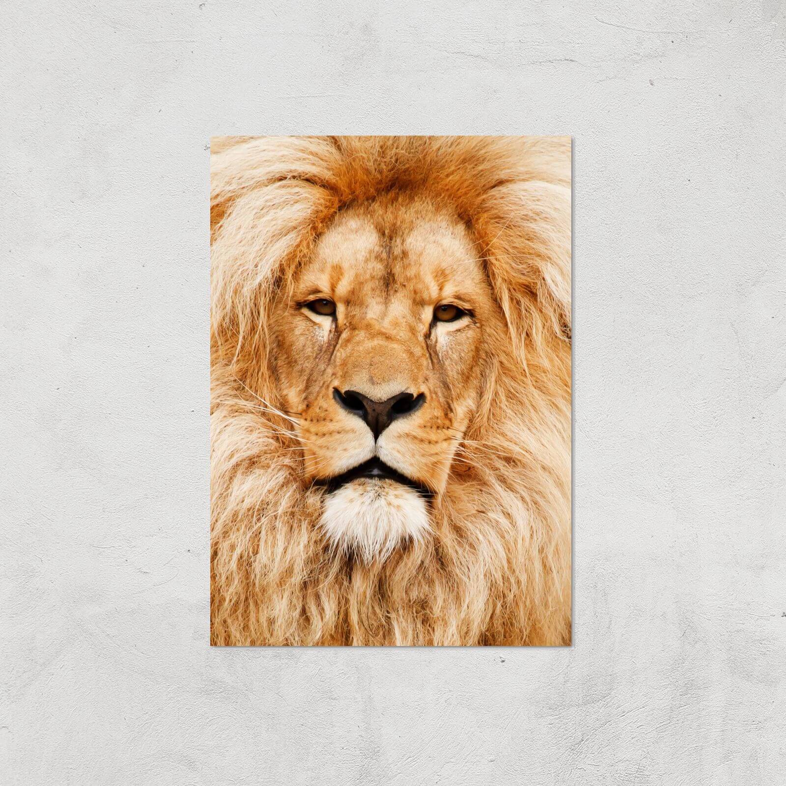 Majestic Lion Giclee Art Print - A2 - Print Only