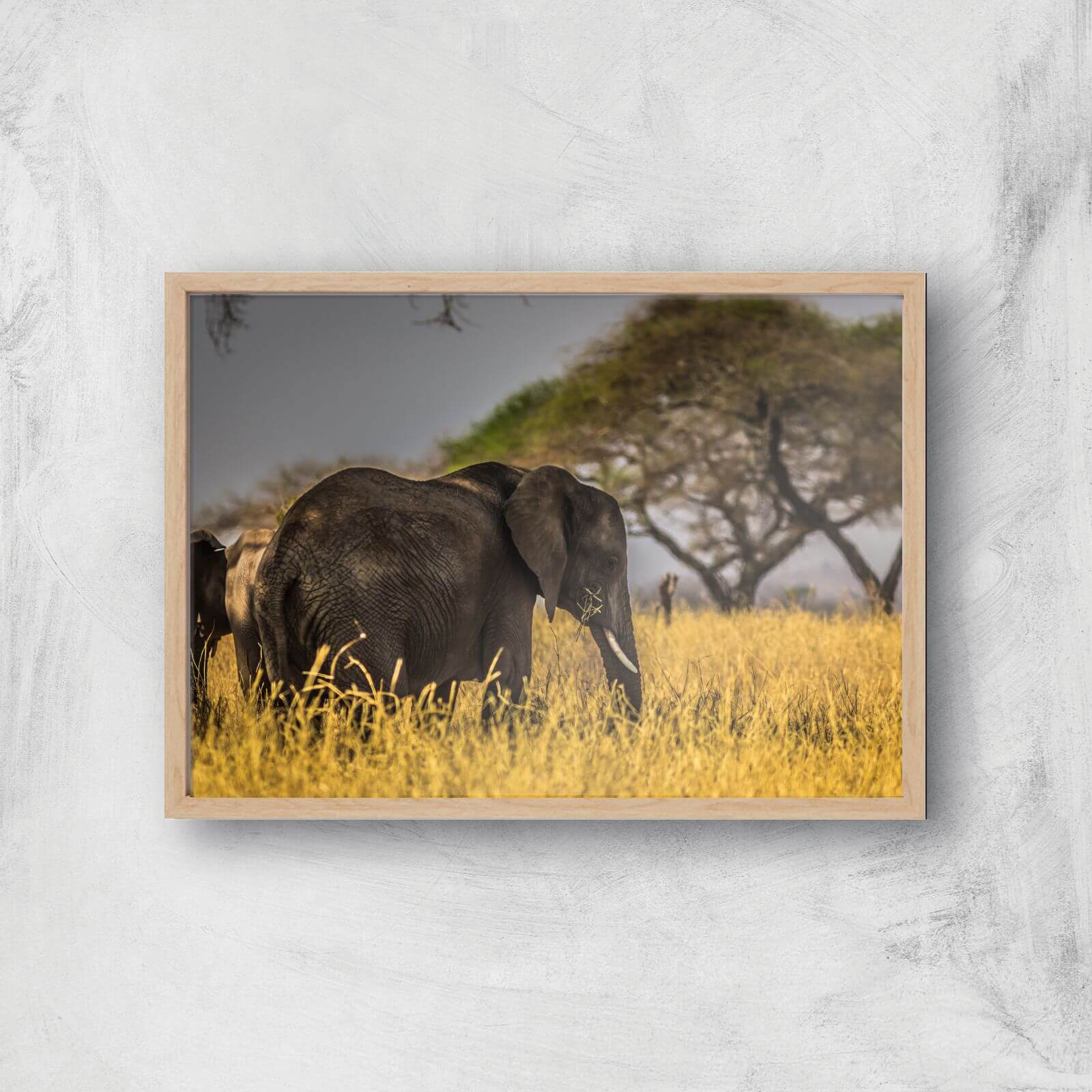 Elephant Giclee Art Print - A4 - Wooden Frame