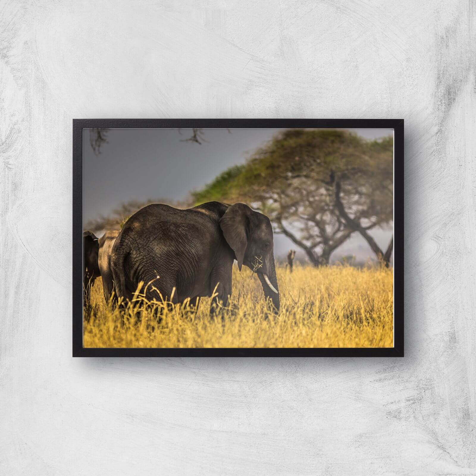 Elephant Giclee Art Print - A3 - Black Frame