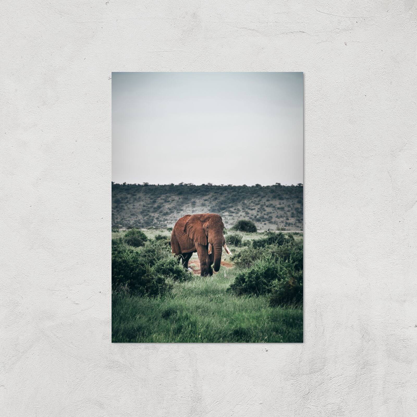 Wandering Elephant Giclee Art Print - A4 - Print Only