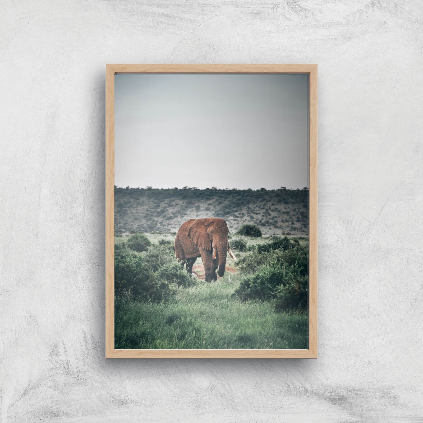 Wandering Elephant Giclee Art Print - A3 - Wooden Frame