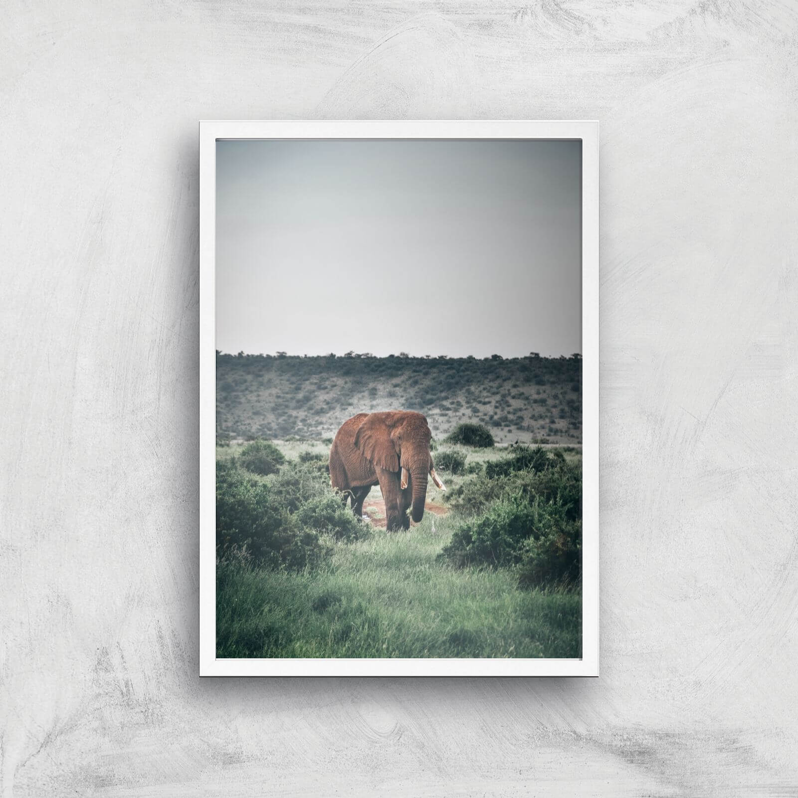 Wandering Elephant Giclee Art Print - A3 - White Frame