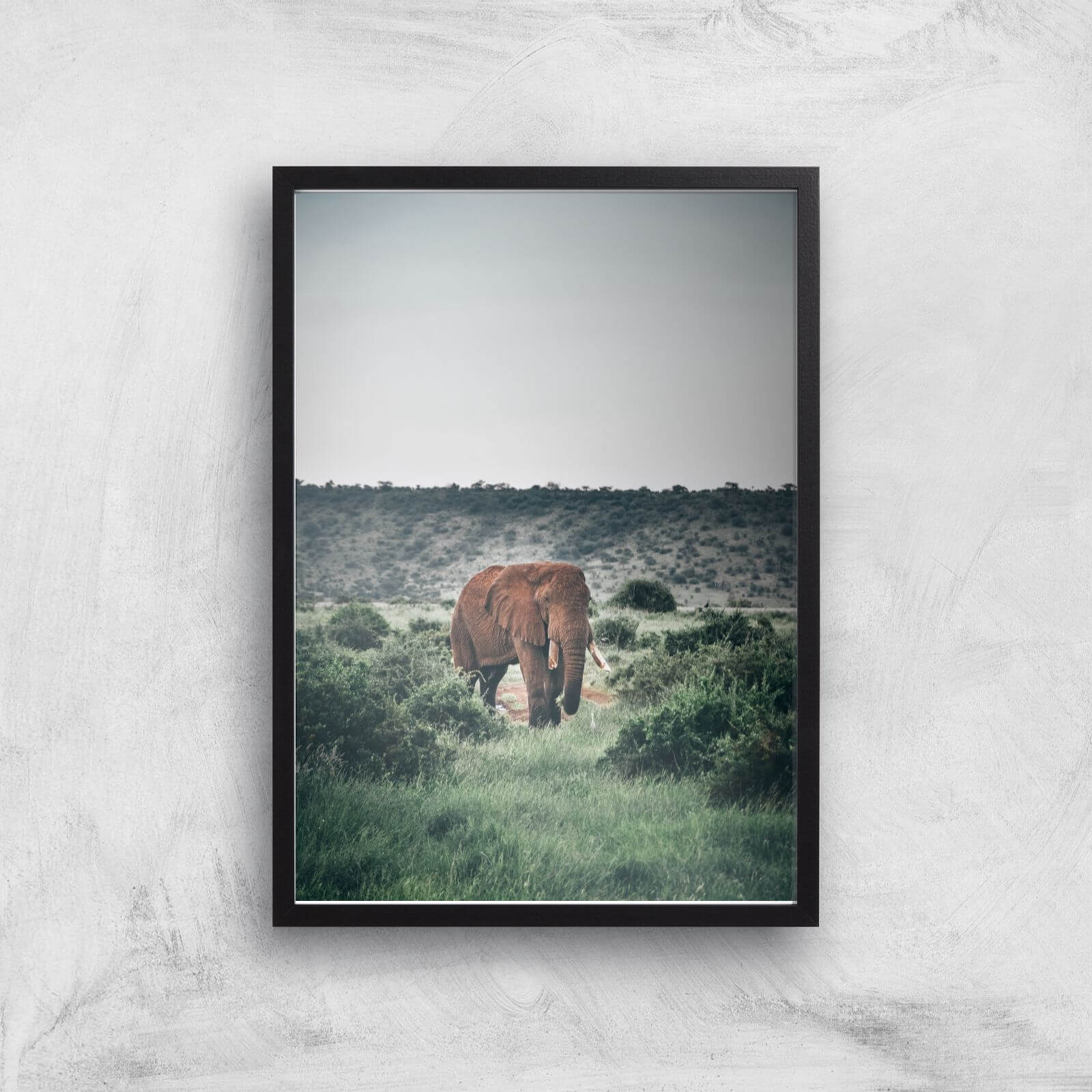 Wandering Elephant Giclee Art Print - A3 - Black Frame