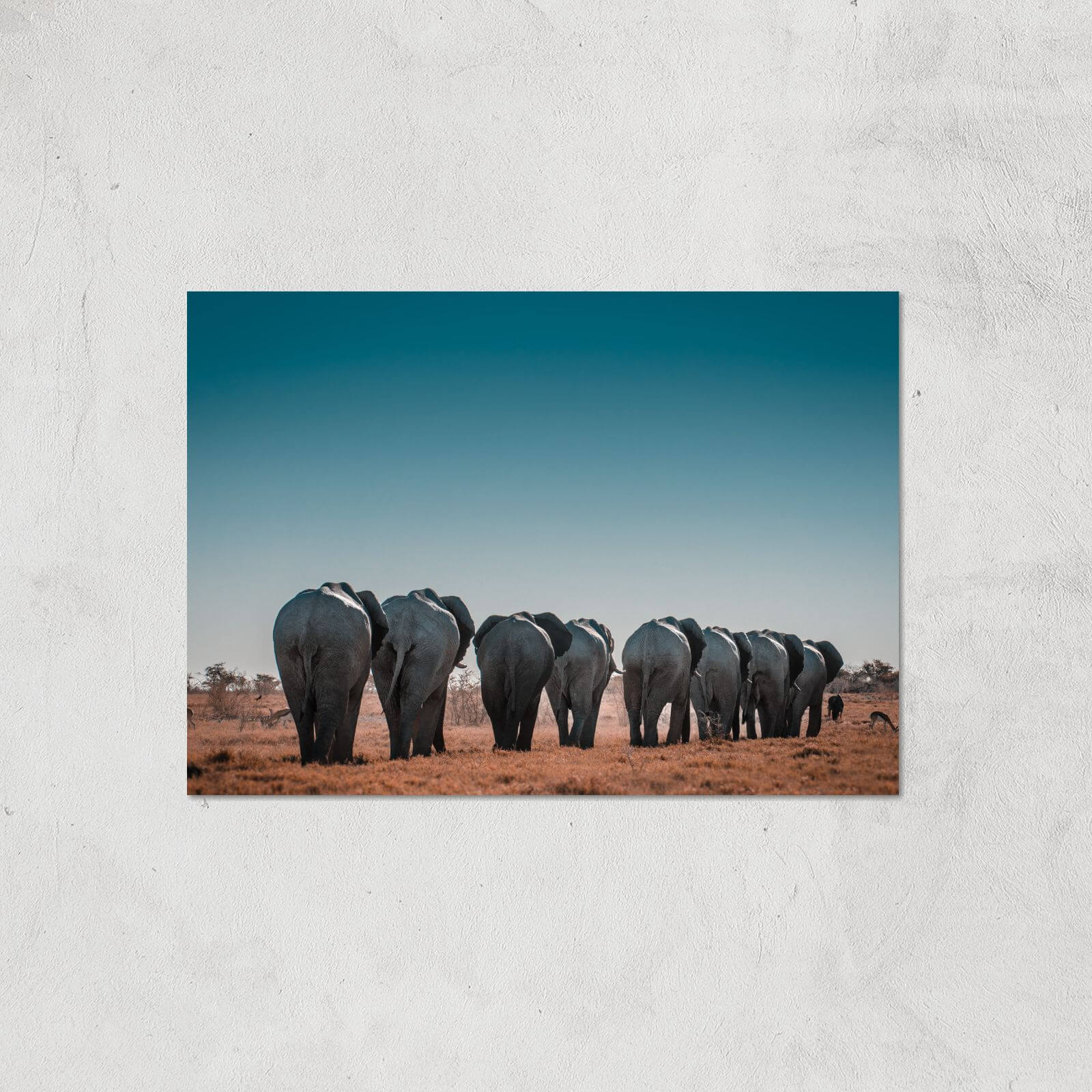 A Herd Of Elephants Giclee Art Print - A3 - Print Only