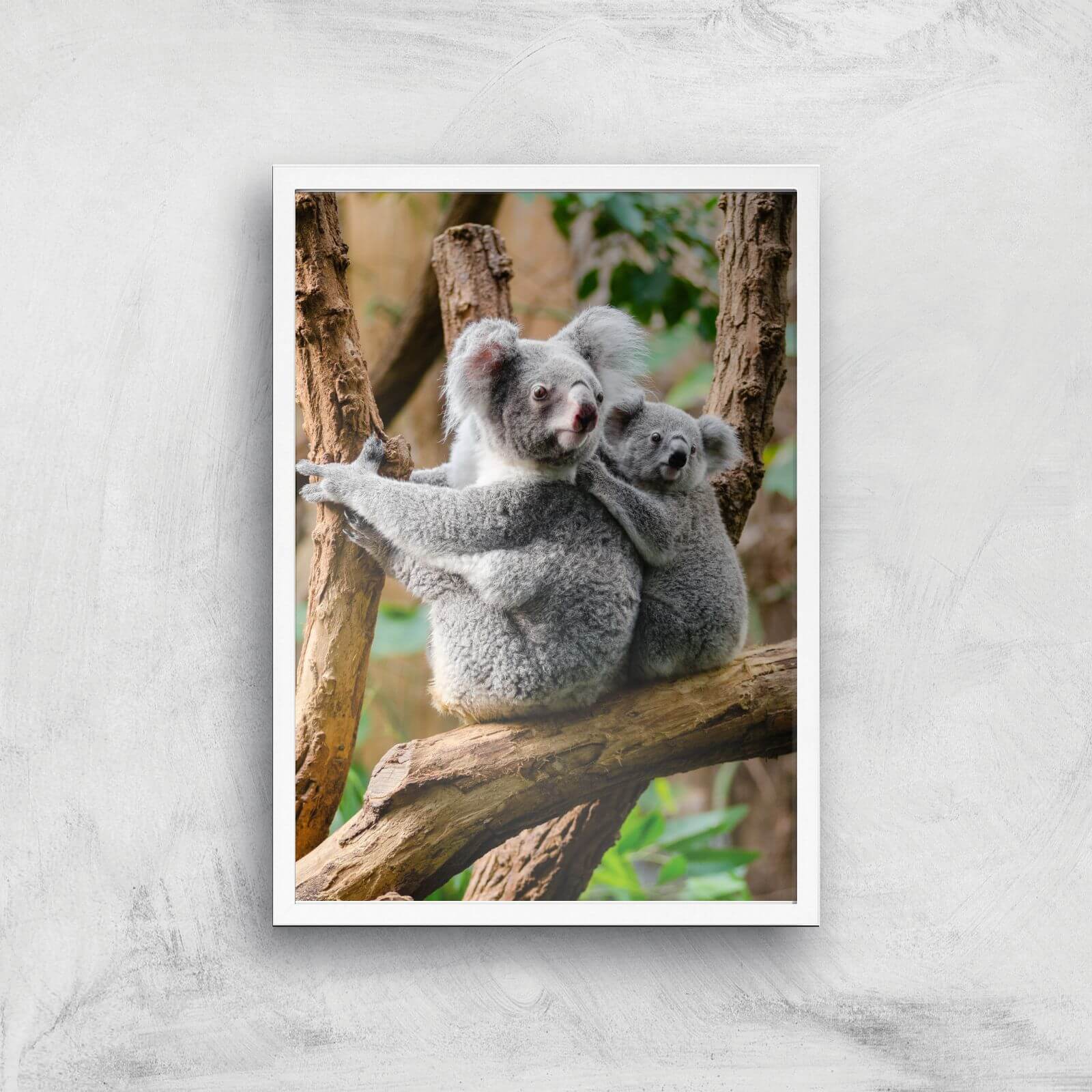 Koala Bear Giclee Art Print - A3 - White Frame