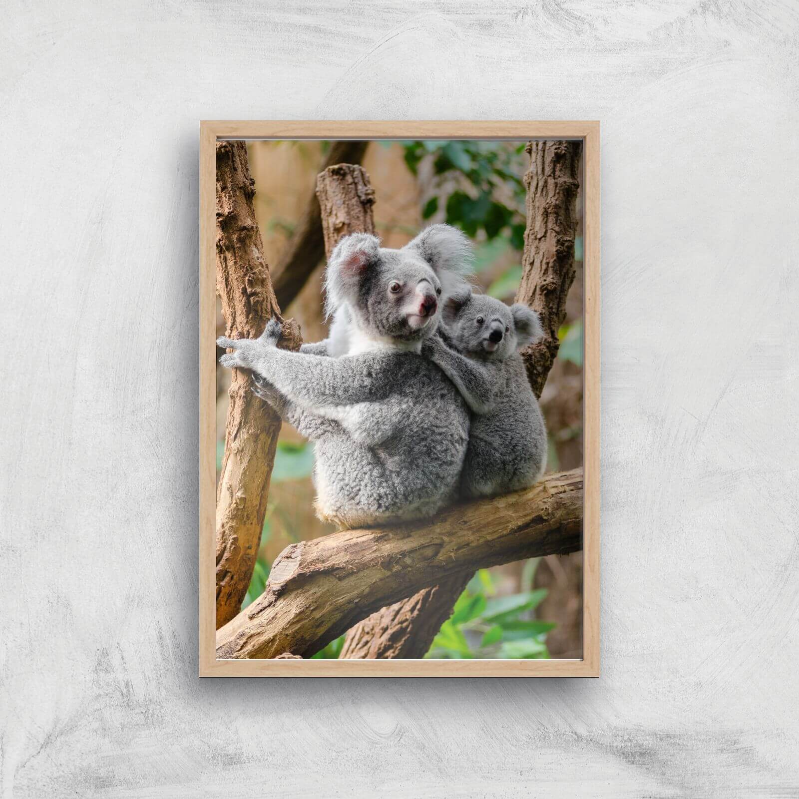 Koala Bear Giclee Art Print - A2 - Wooden Frame