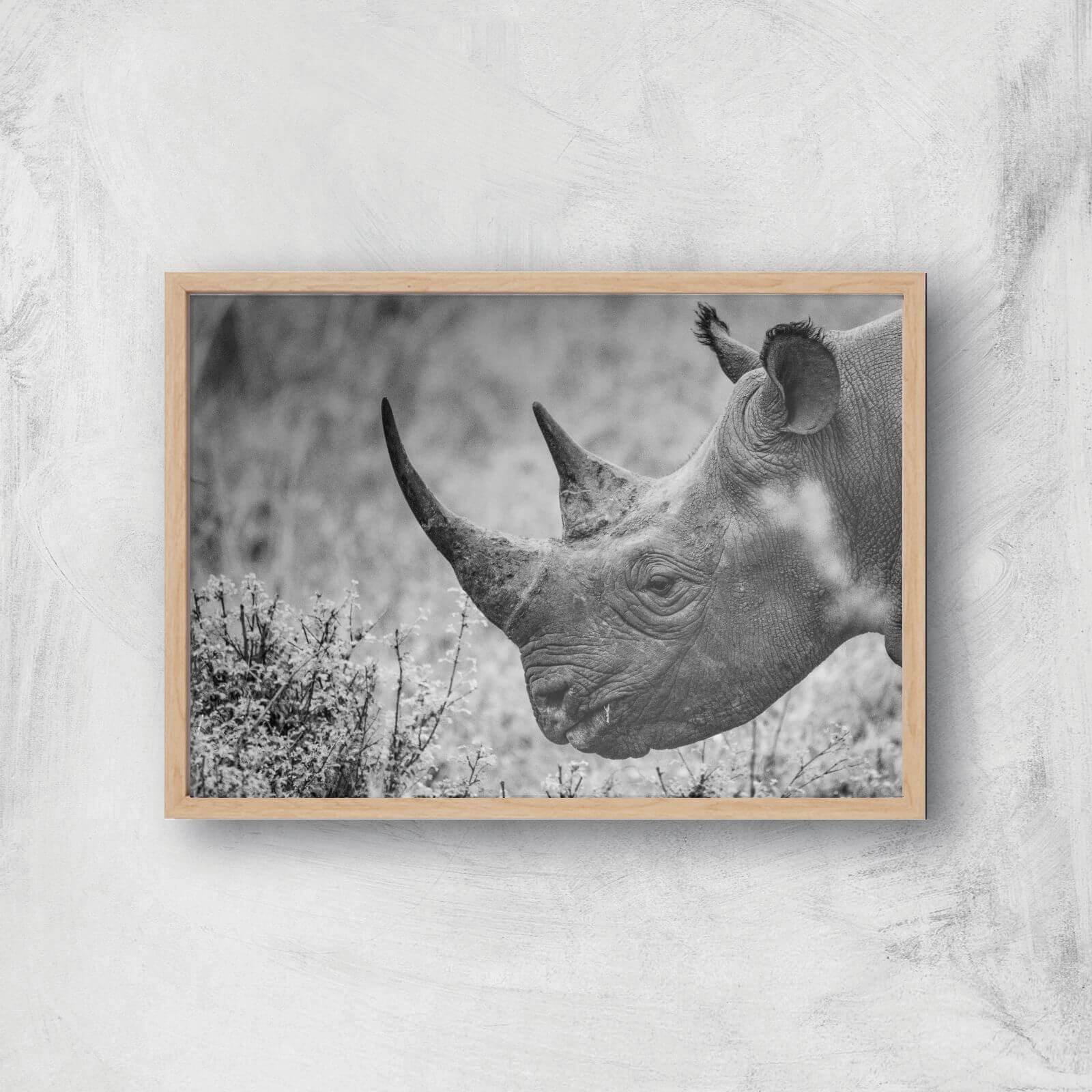Grayscale Rhino Giclee Art Print - A3 - Wooden Frame