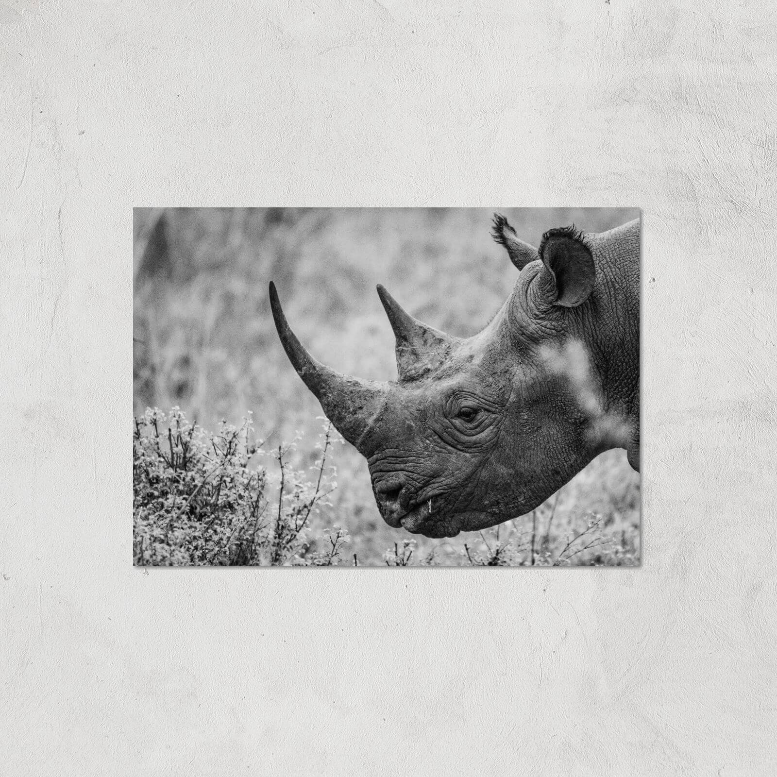 Grayscale Rhino Giclee Art Print - A2 - Print Only