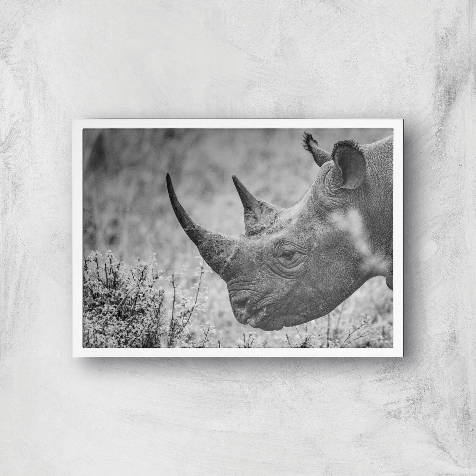 Grayscale Rhino Giclee Art Print - A2 - White Frame