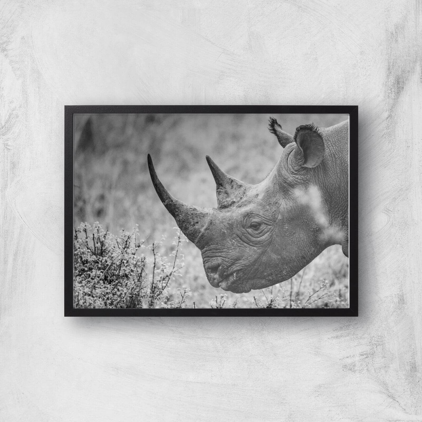 Grayscale Rhino Giclee Art Print - A2 - Black Frame