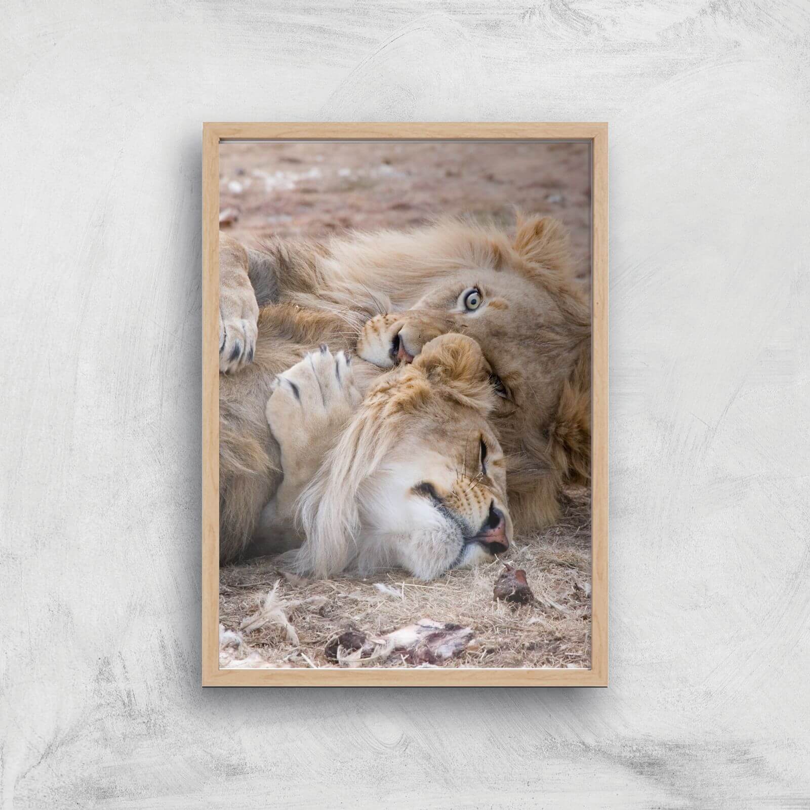 Morning Cuddles Giclee Art Print - A3 - Wooden Frame