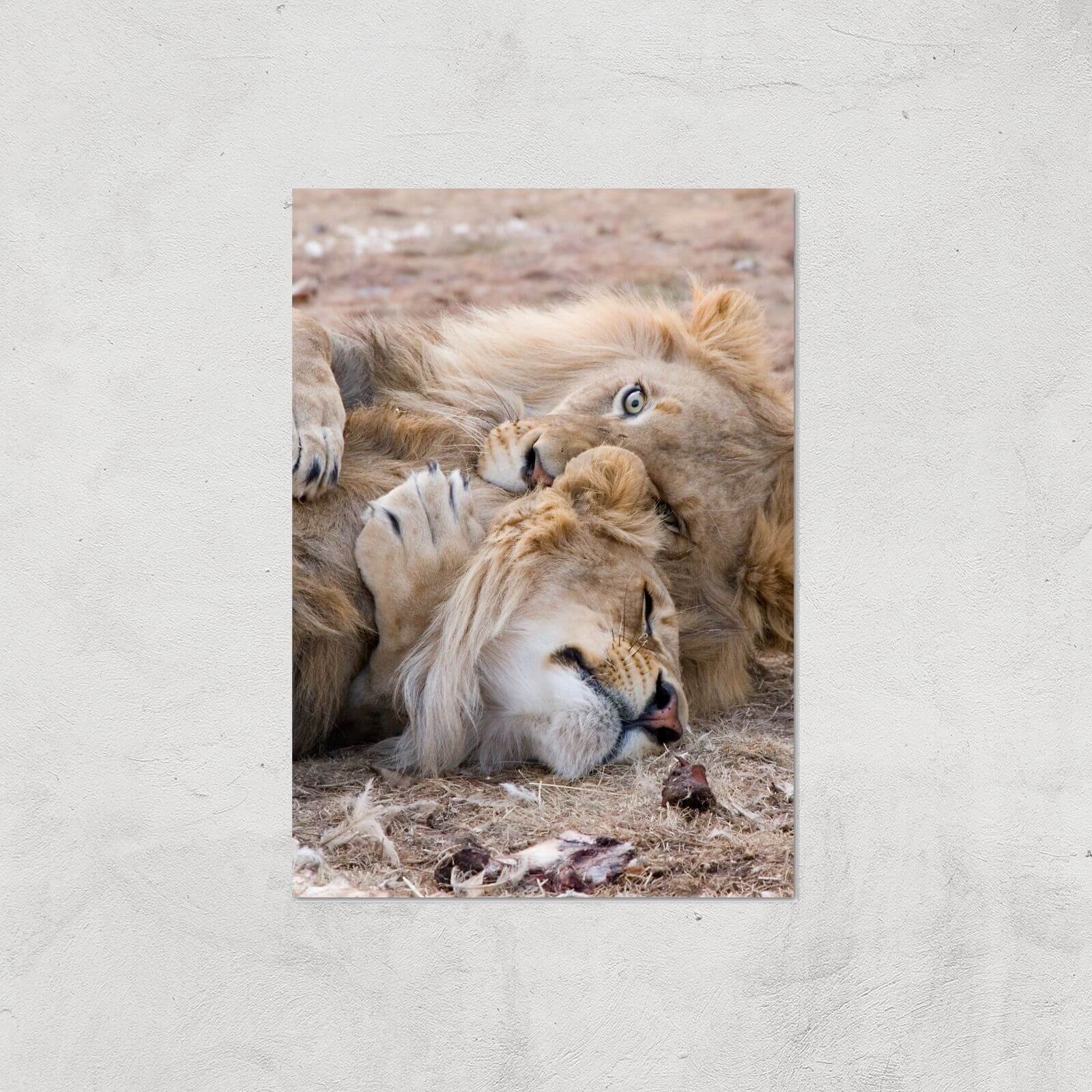 Morning Cuddles Giclee Art Print - A2 - Print Only