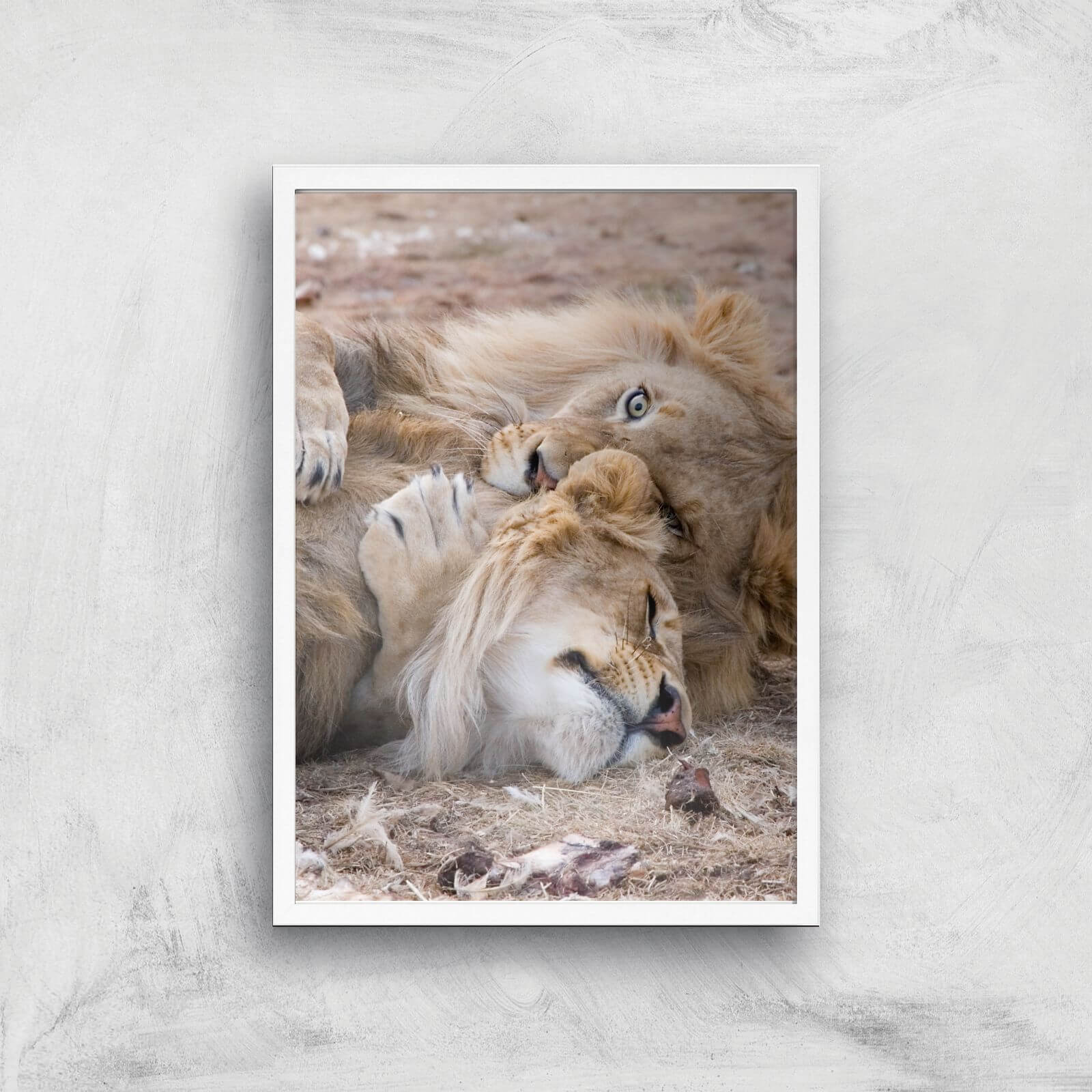 Morning Cuddles Giclee Art Print - A2 - White Frame