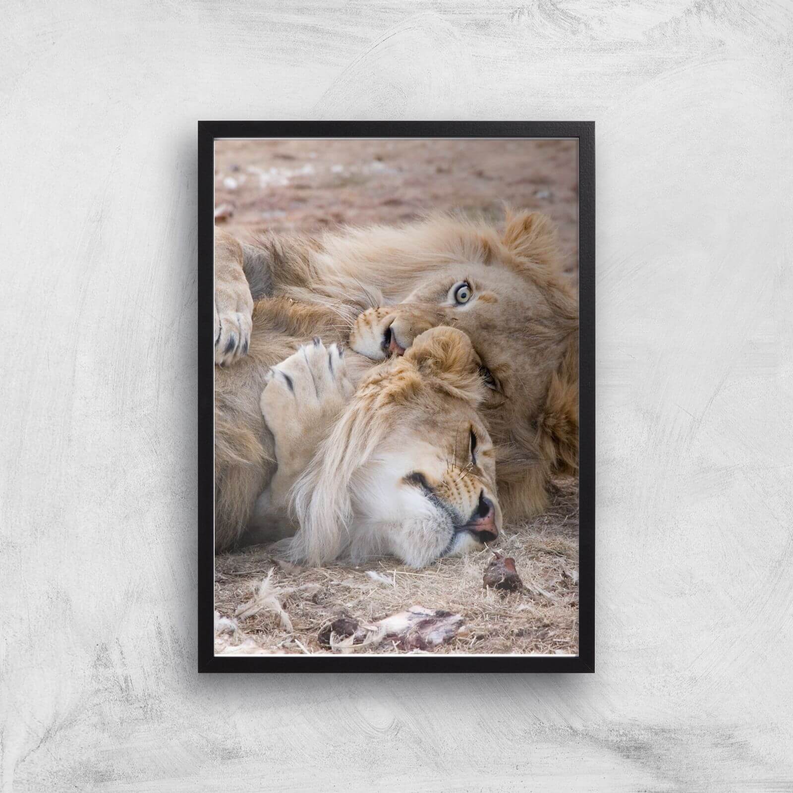Morning Cuddles Giclee Art Print - A2 - Black Frame